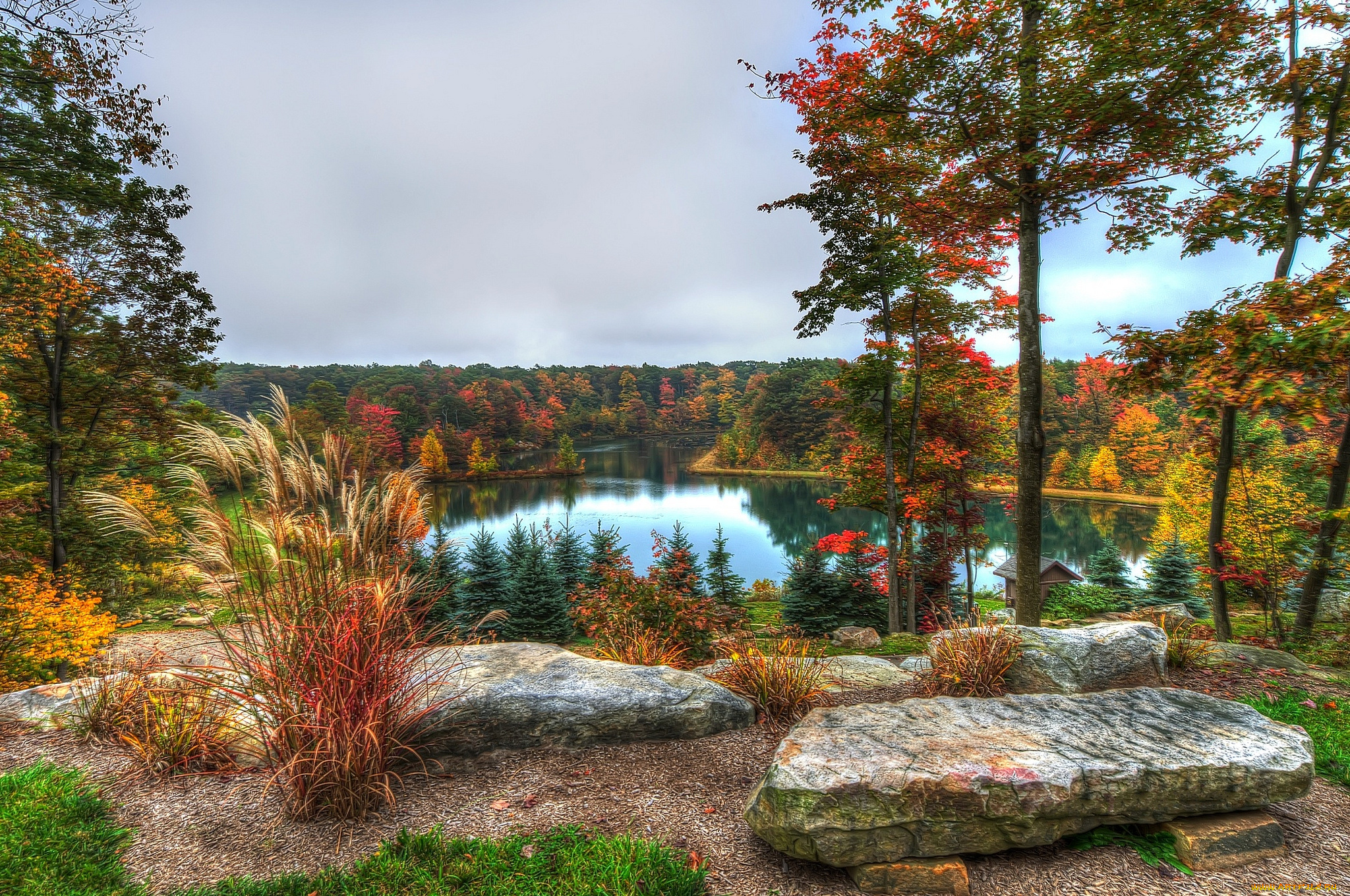 природа, реки, озера, лес, озеро, краски, панорама, осень