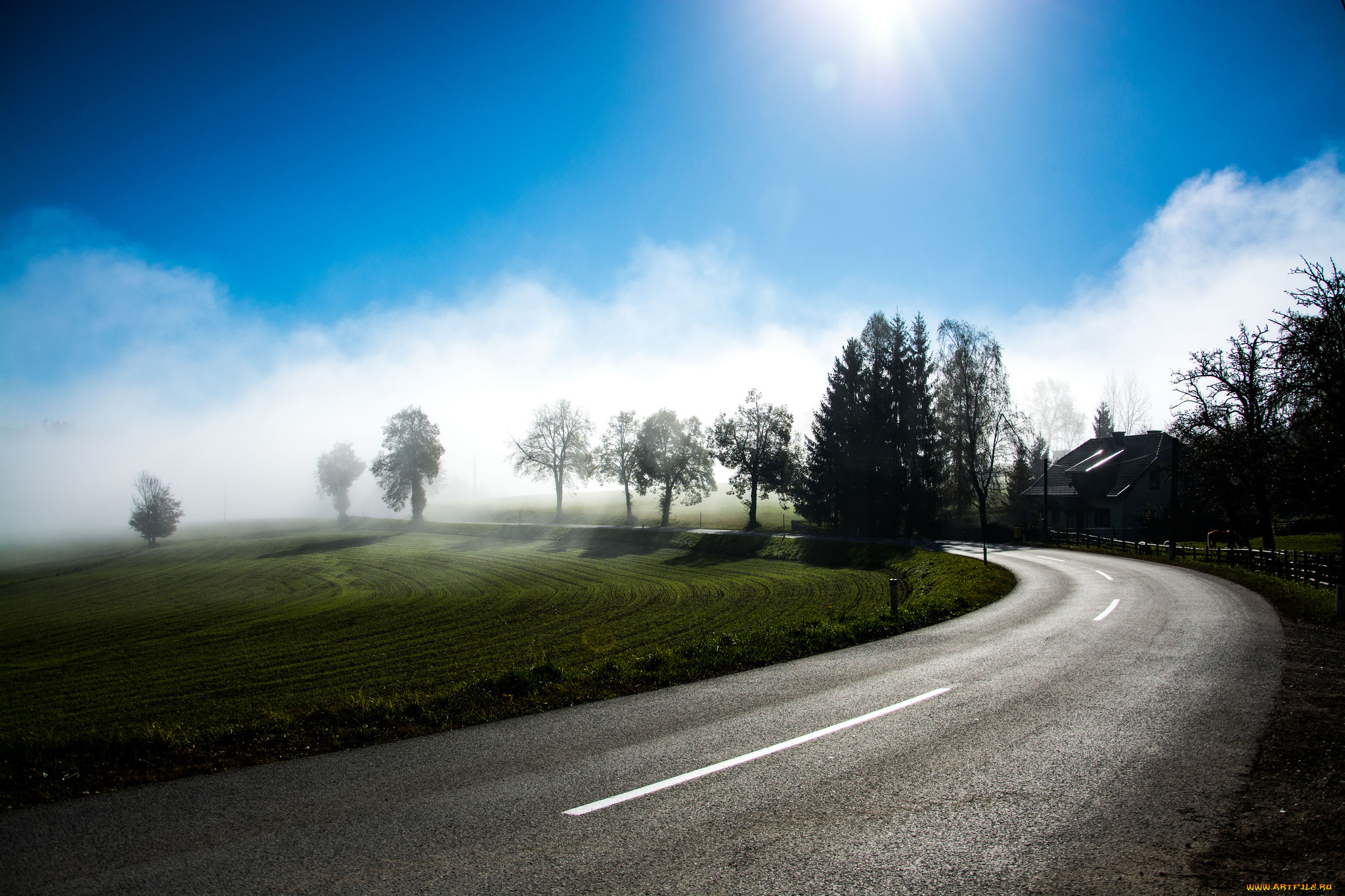 природа, дороги, дорога, рассвет, небо, curve, туман, солнце, деревья, утро, road, to, nowhere, austria