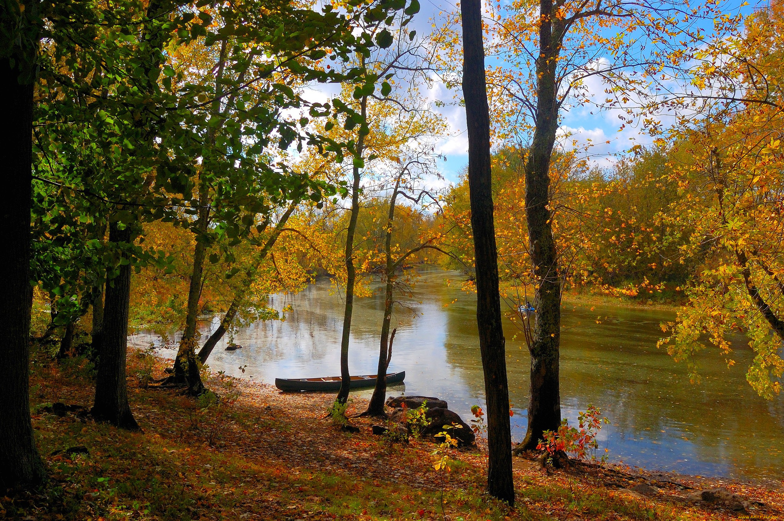 природа, реки, озера, лодка, река, лес, небо, осень, листья, деревья
