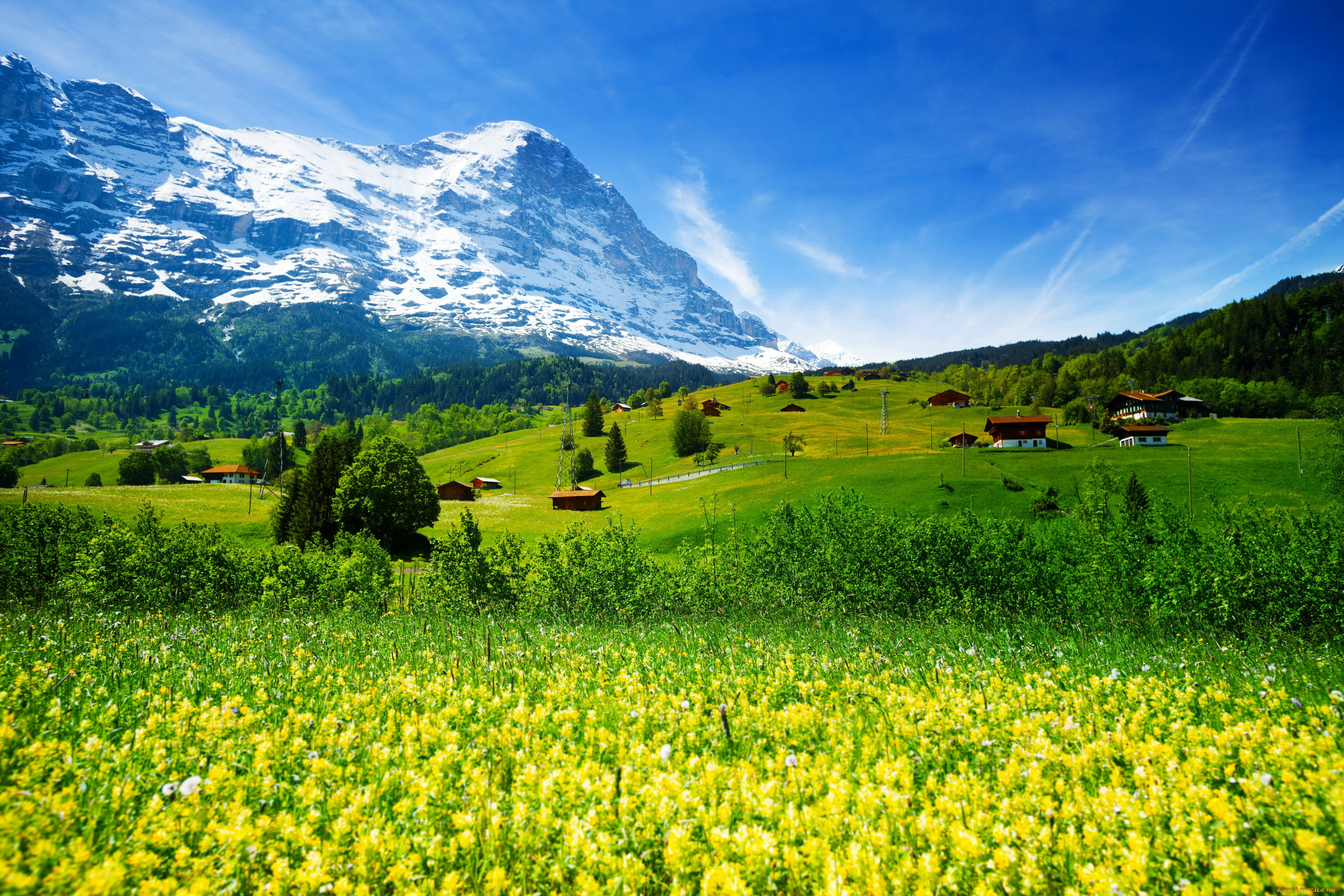 природа, поля, деревья, горы, швейцария