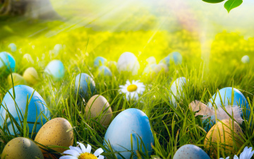 Картинка праздничные пасха лучи яйца заяц весна свет