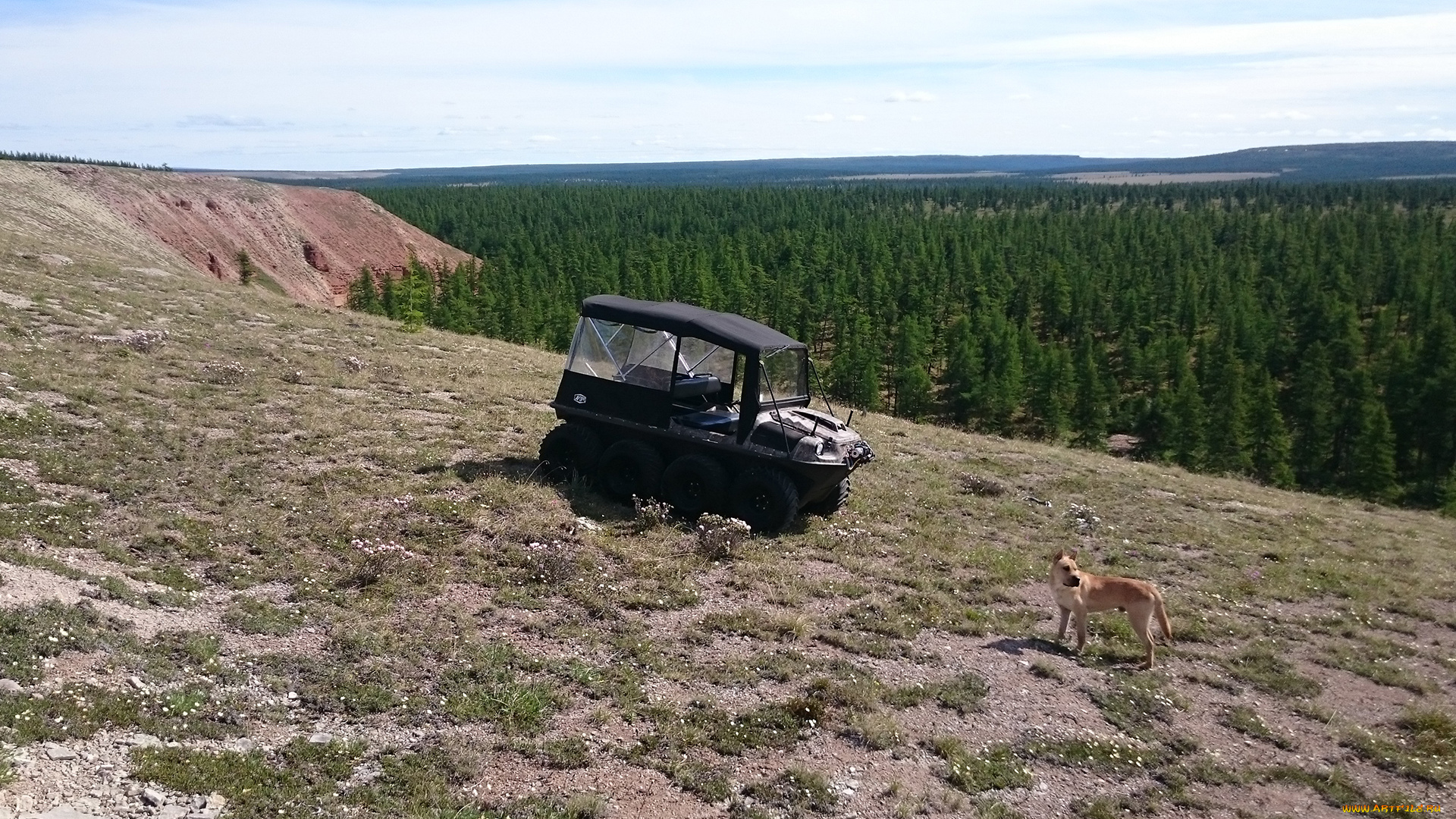 вездеход, argo, техника, другое, автомобиль, argo, вездеход, внедорожник, спецтехника