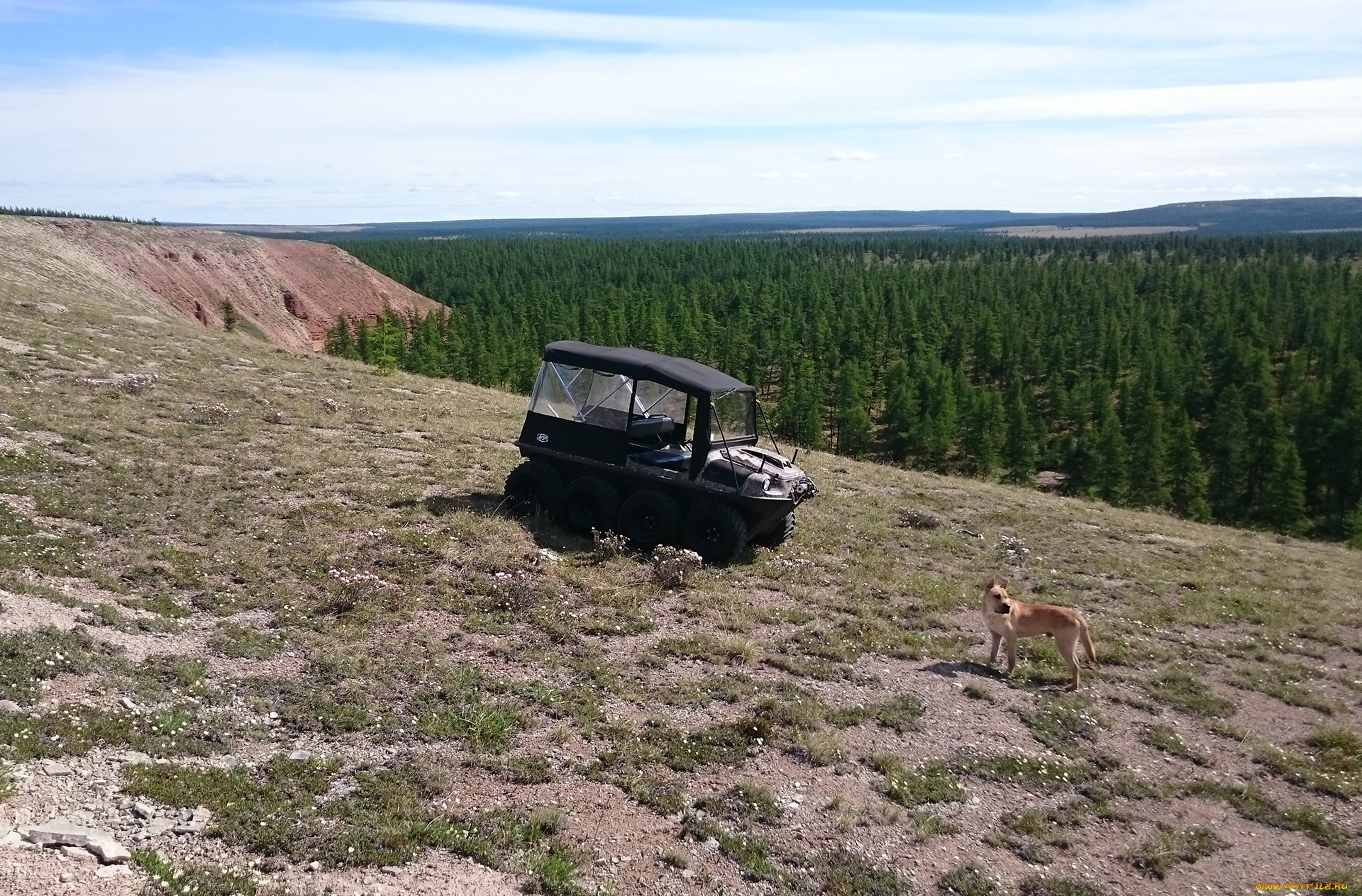 вездеход, argo, техника, другое, автомобиль, argo, вездеход, внедорожник, спецтехника