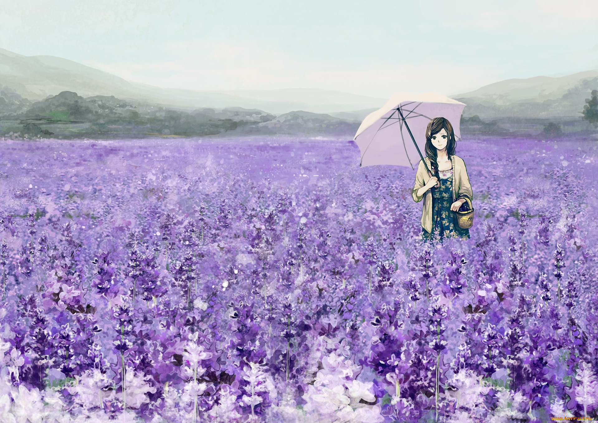 аниме, unknown, , другое, , зонт, девушка, поле, лаванда