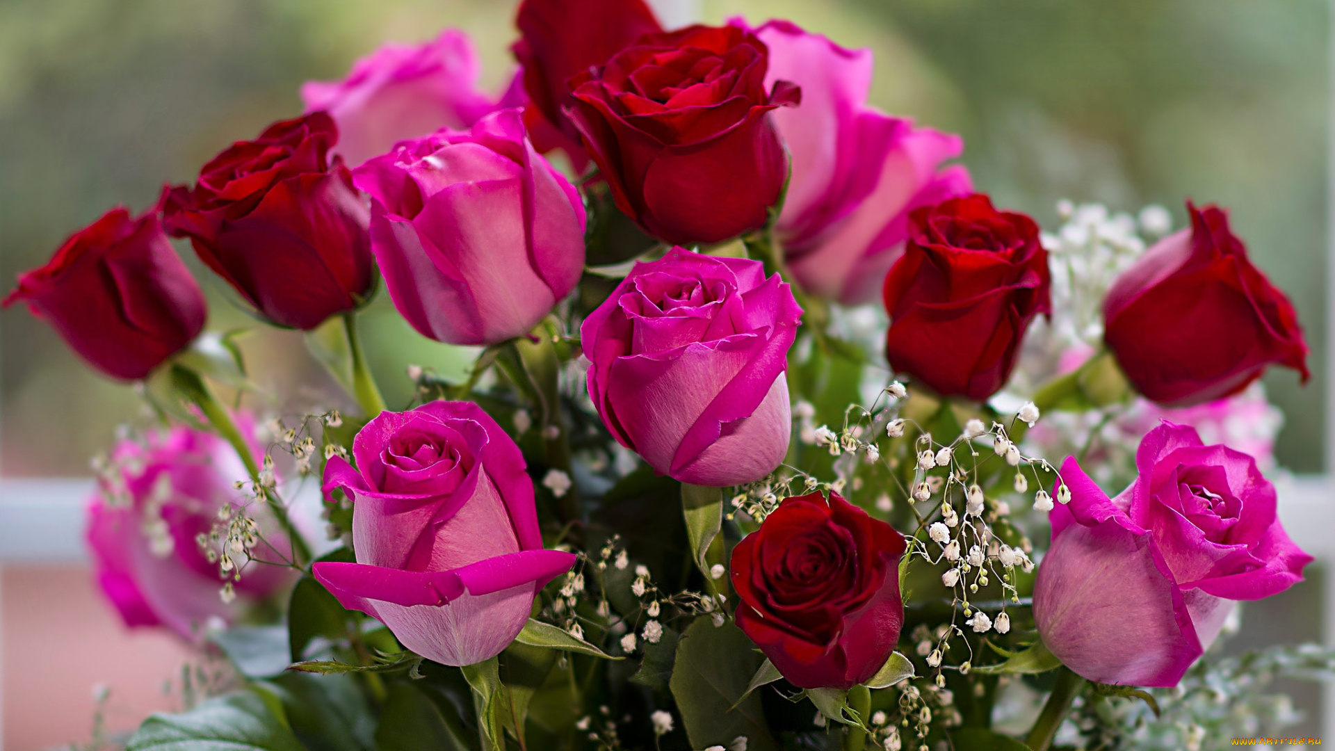 цветы, розы, розовые, бордовые, бутоны, букет