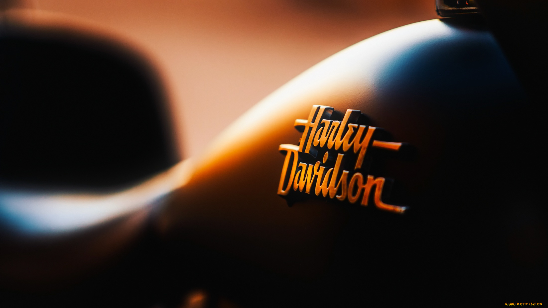 harley, davidson, бренды, авто-мото, , harley-davidson, harley, davidson, logo, bike, чоппер, логотип, харлей, дэвидсон