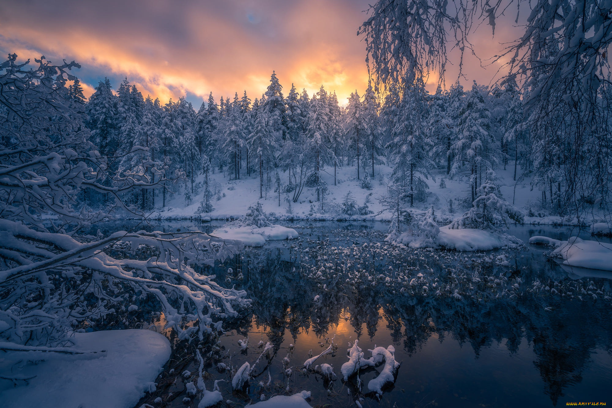 природа, реки, озера, norway, норвегия, ringerike, norwegian, woods