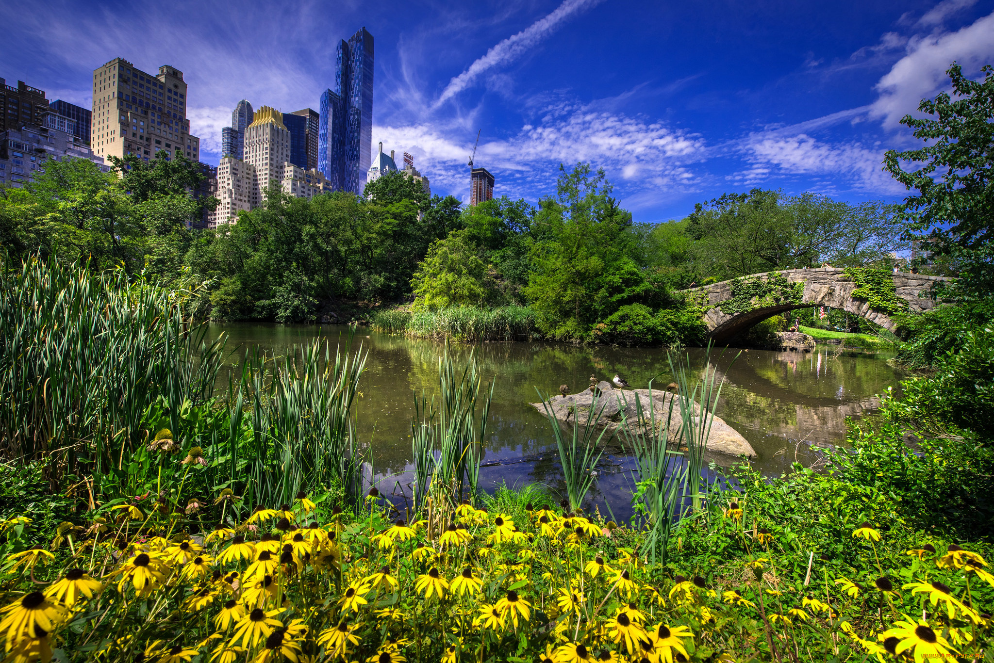 gapstow, bridge, in, central, park, -, new, york, city, города, нью-йорк, , сша, простор