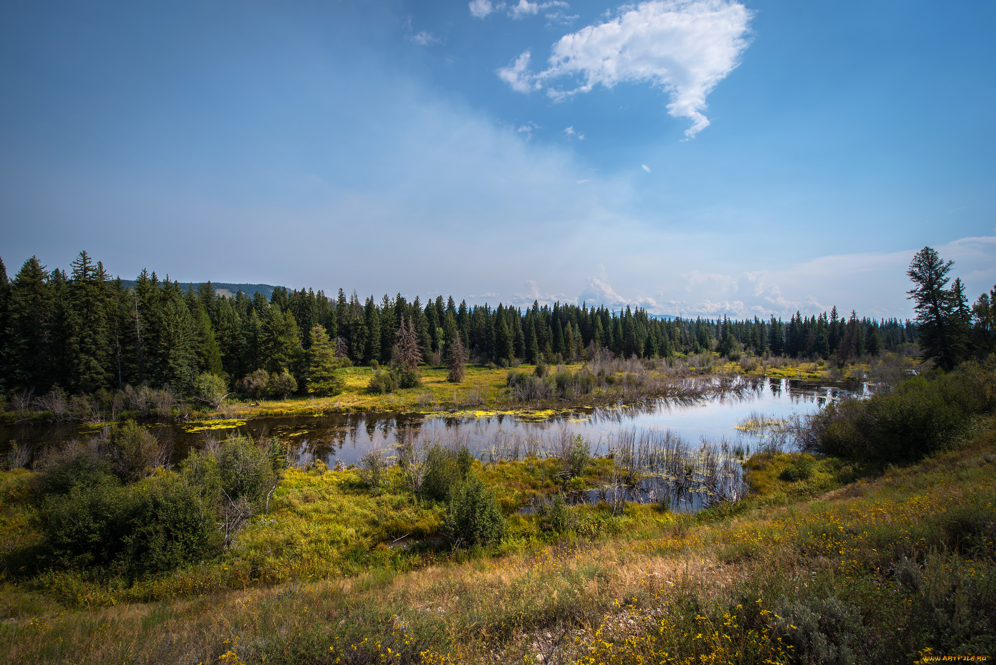 природа, реки, озера, простор