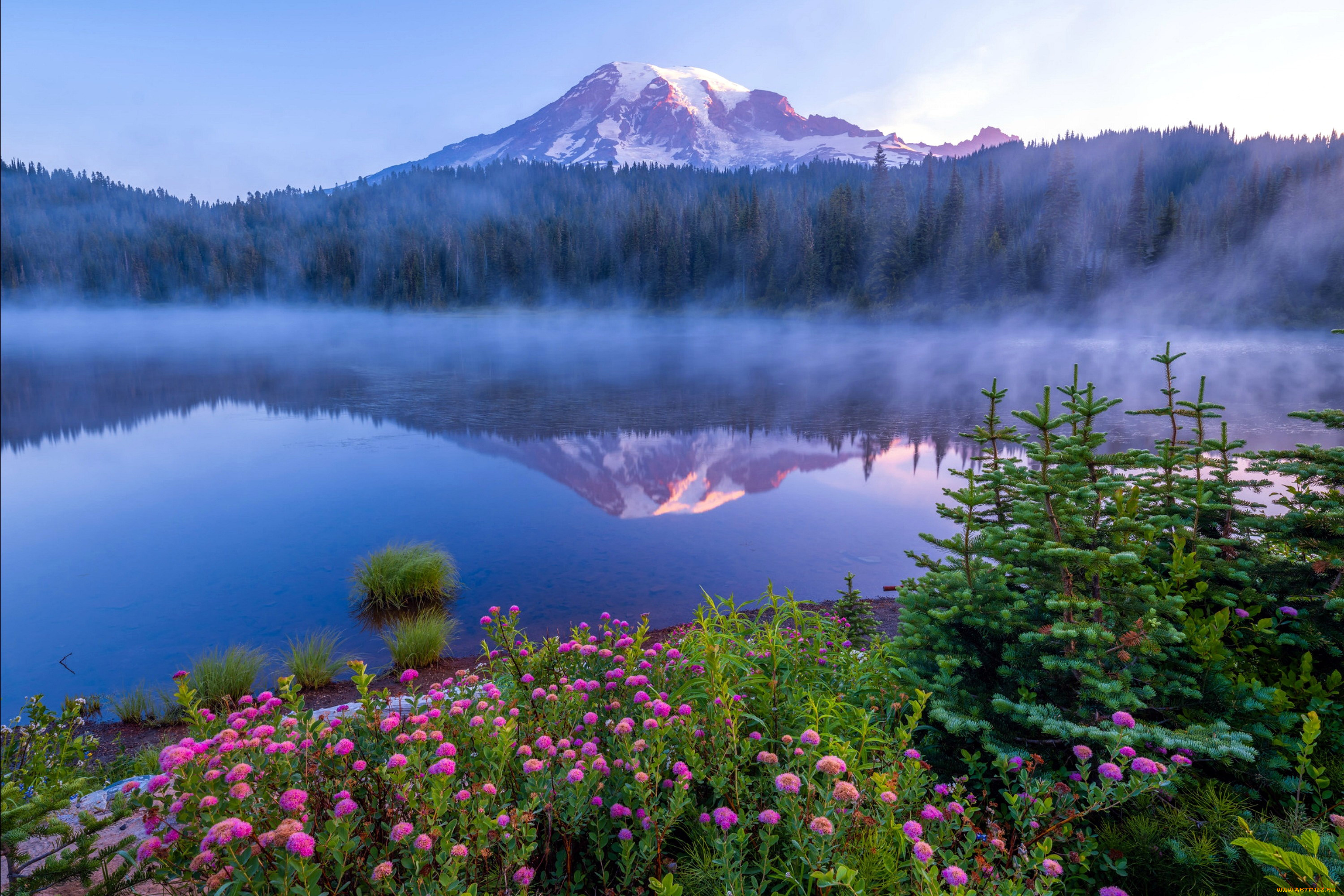 mount, rainier, national, park, washington, state, природа, реки, озера, mount, rainier, national, park, washington, state