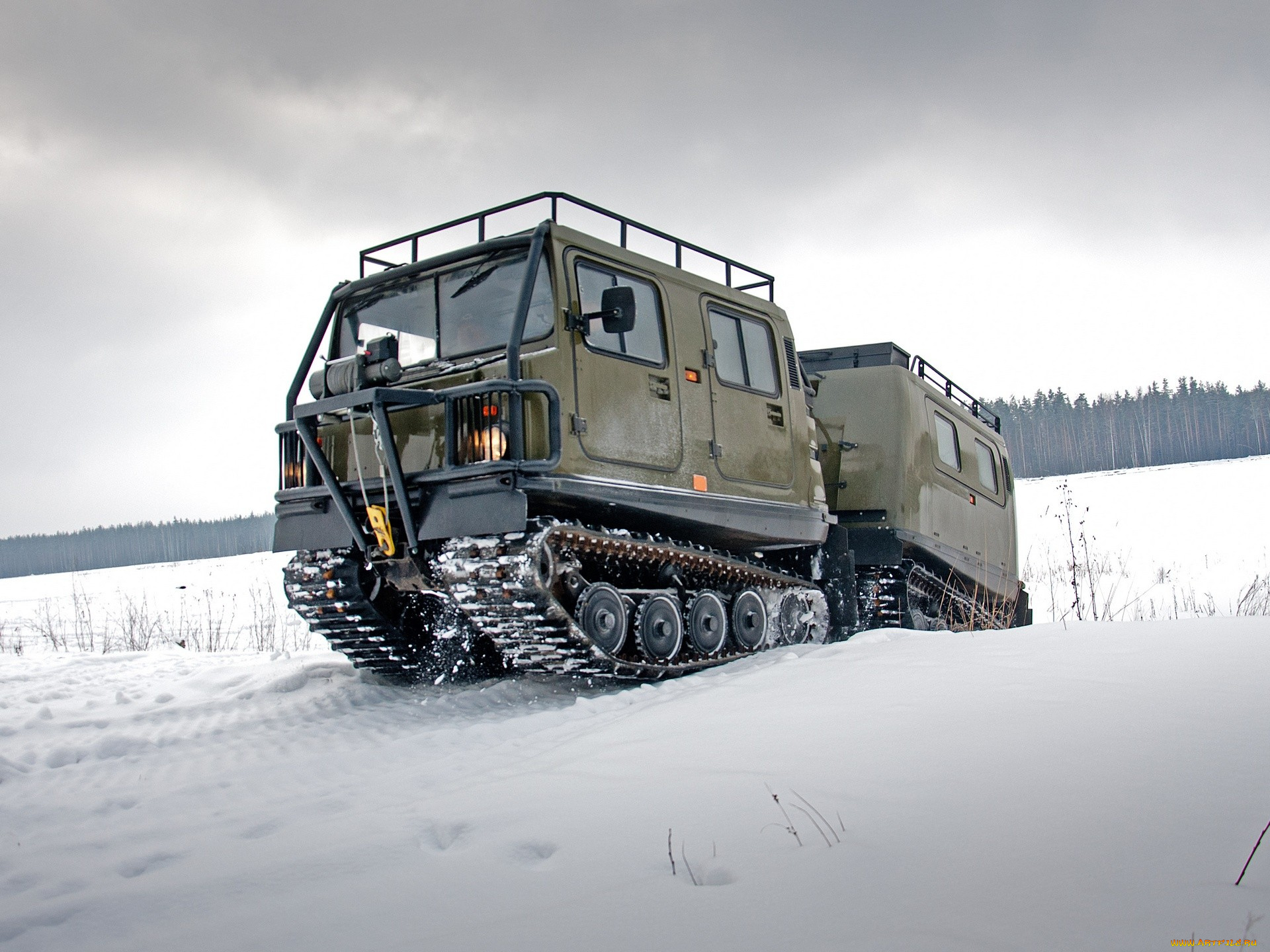 техника, вездеходы, снегоболотоход, hagglund, bv206, лось