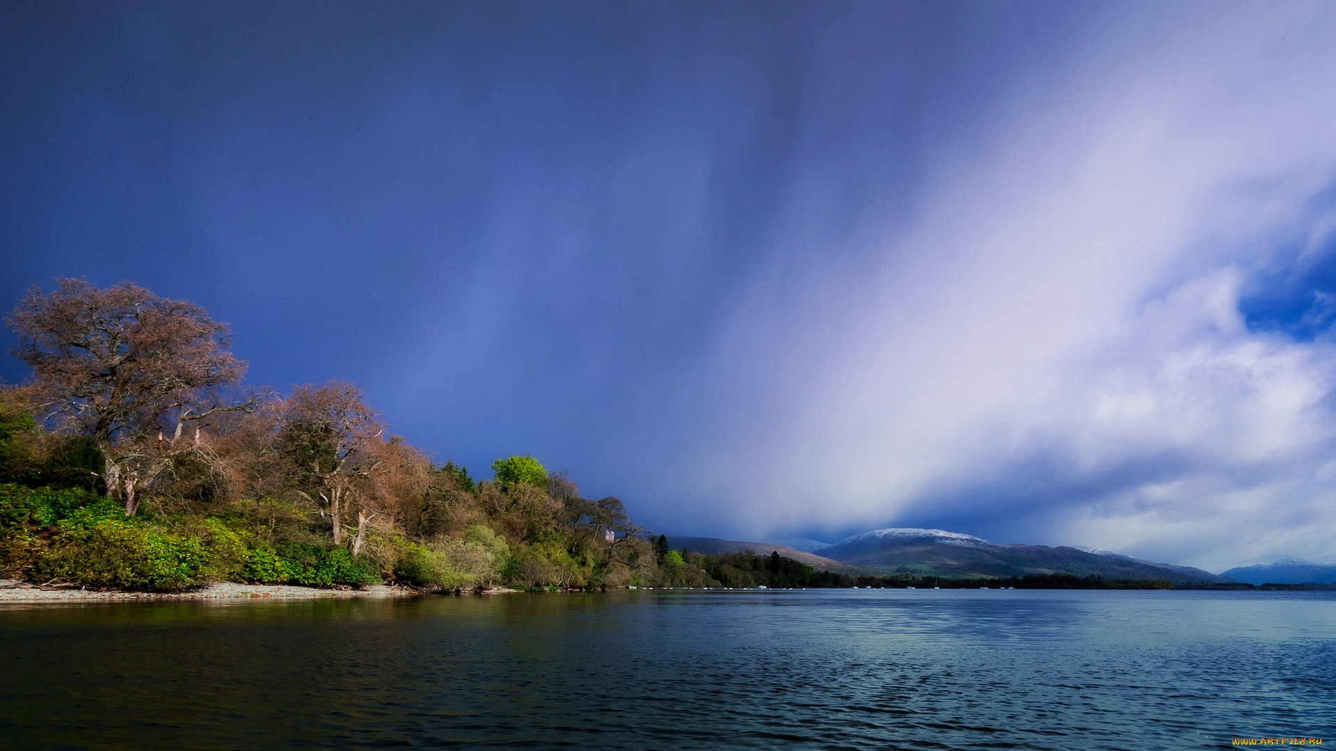 inchconnachan, island, loch, lomond, scotland, природа, реки, озера, остров, озеро, лох-ломонд, шотландия, деревья, горы