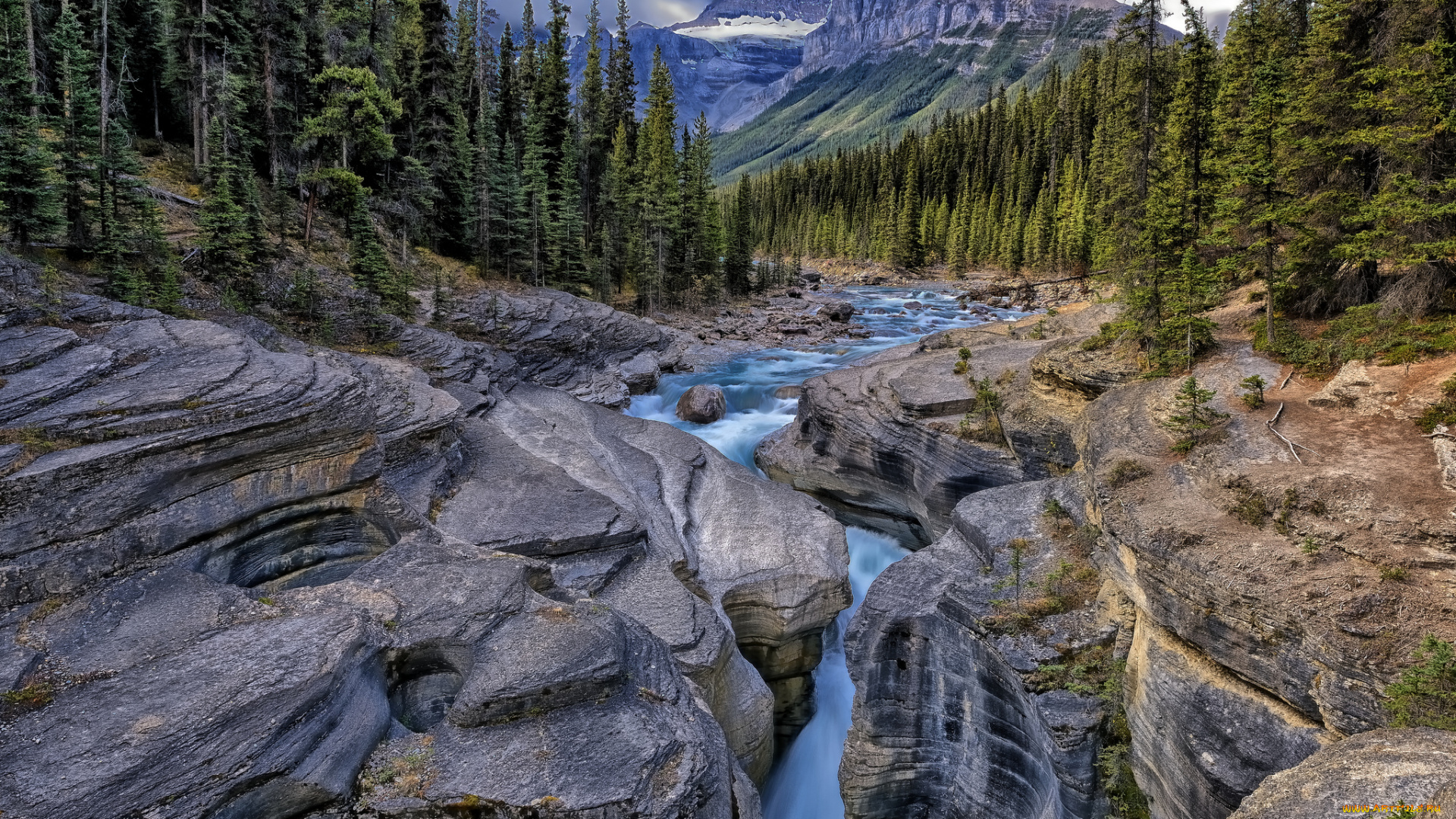 mistaya, gorge, banff, national, park, alberta, canada, природа, реки, озера, река, ущелье, river, камни, горы, лес