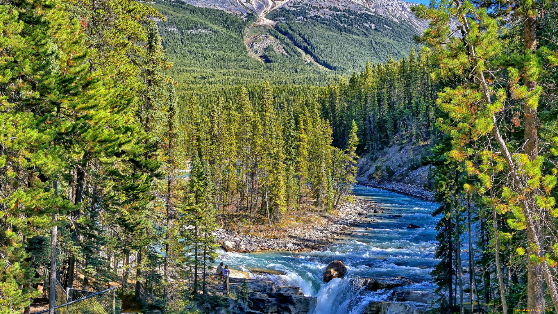 sunwapta, falls, jasper, national, park, alberta, canada, природа, реки, озера, река, джаспер, river, лес, горы