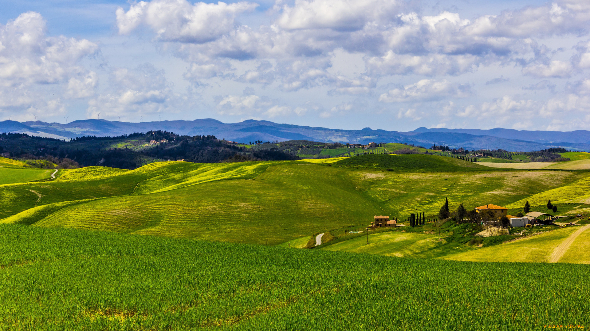 volterra, italy, природа, поля