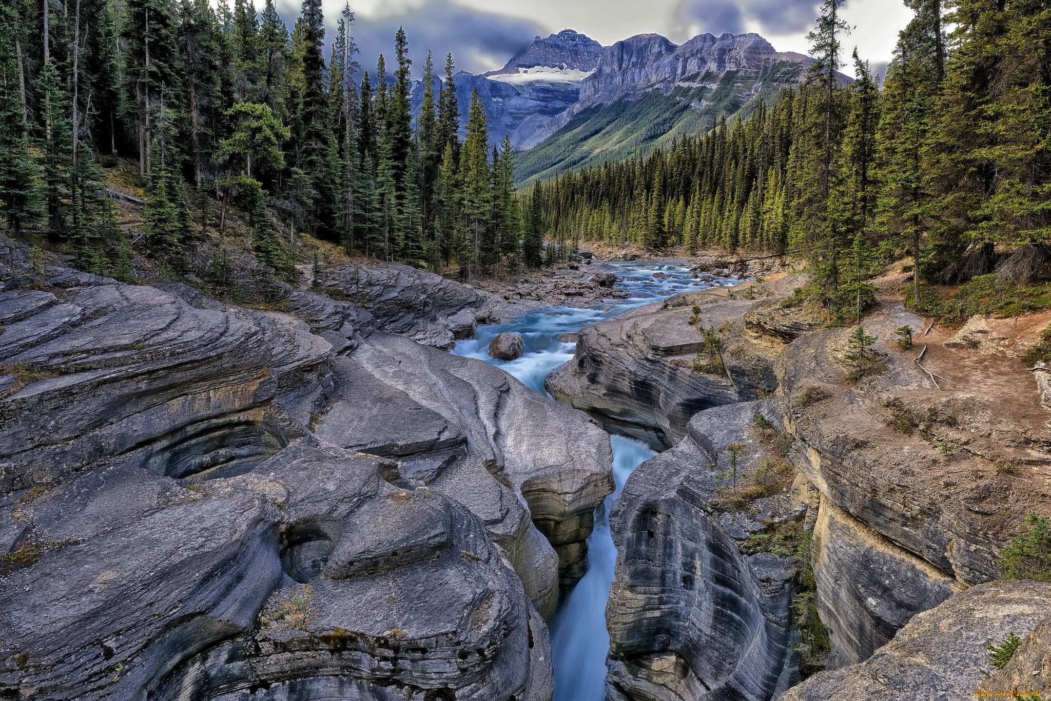 mistaya, gorge, banff, national, park, alberta, canada, природа, реки, озера, река, ущелье, river, камни, горы, лес