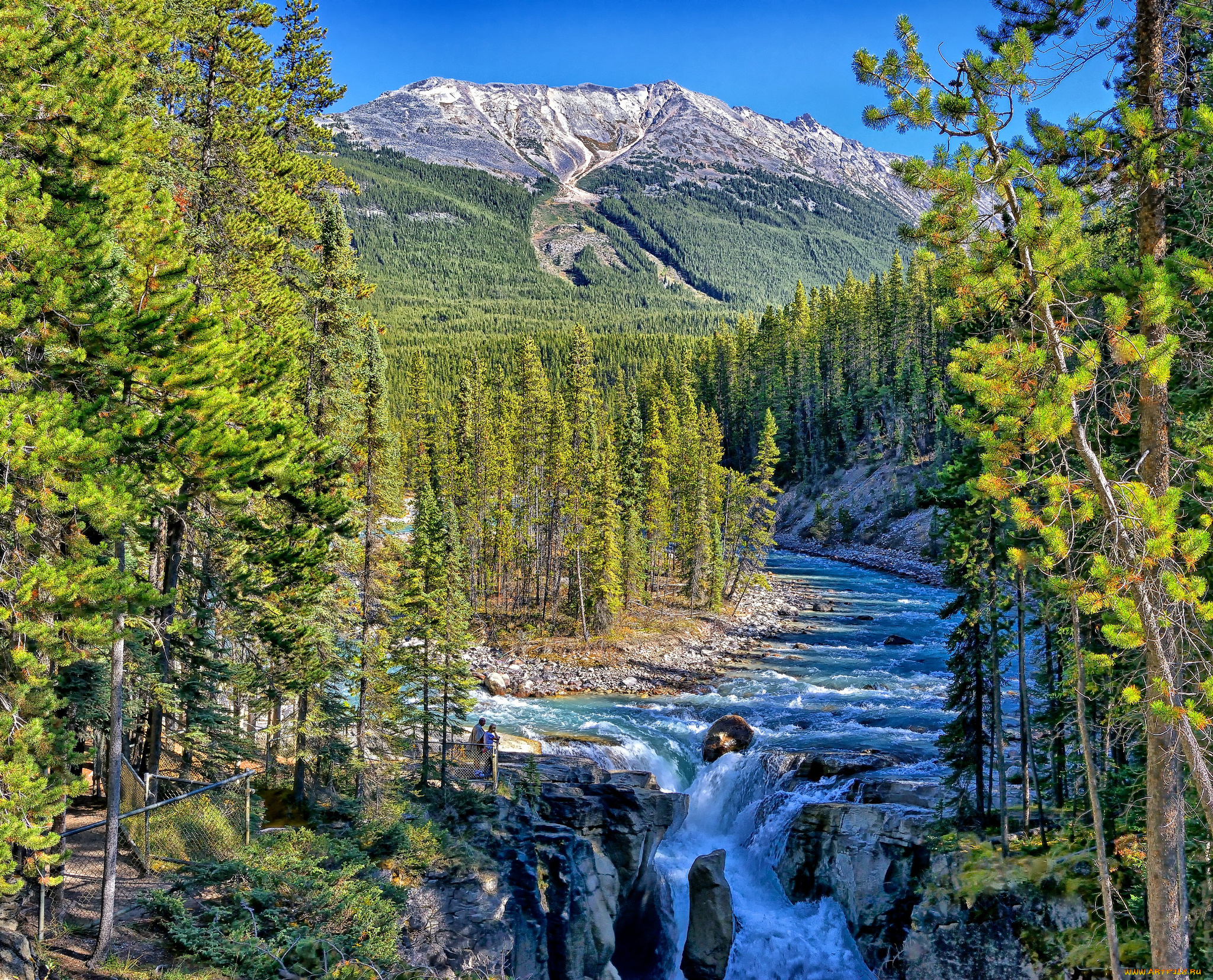 sunwapta, falls, jasper, national, park, alberta, canada, природа, реки, озера, река, джаспер, river, лес, горы