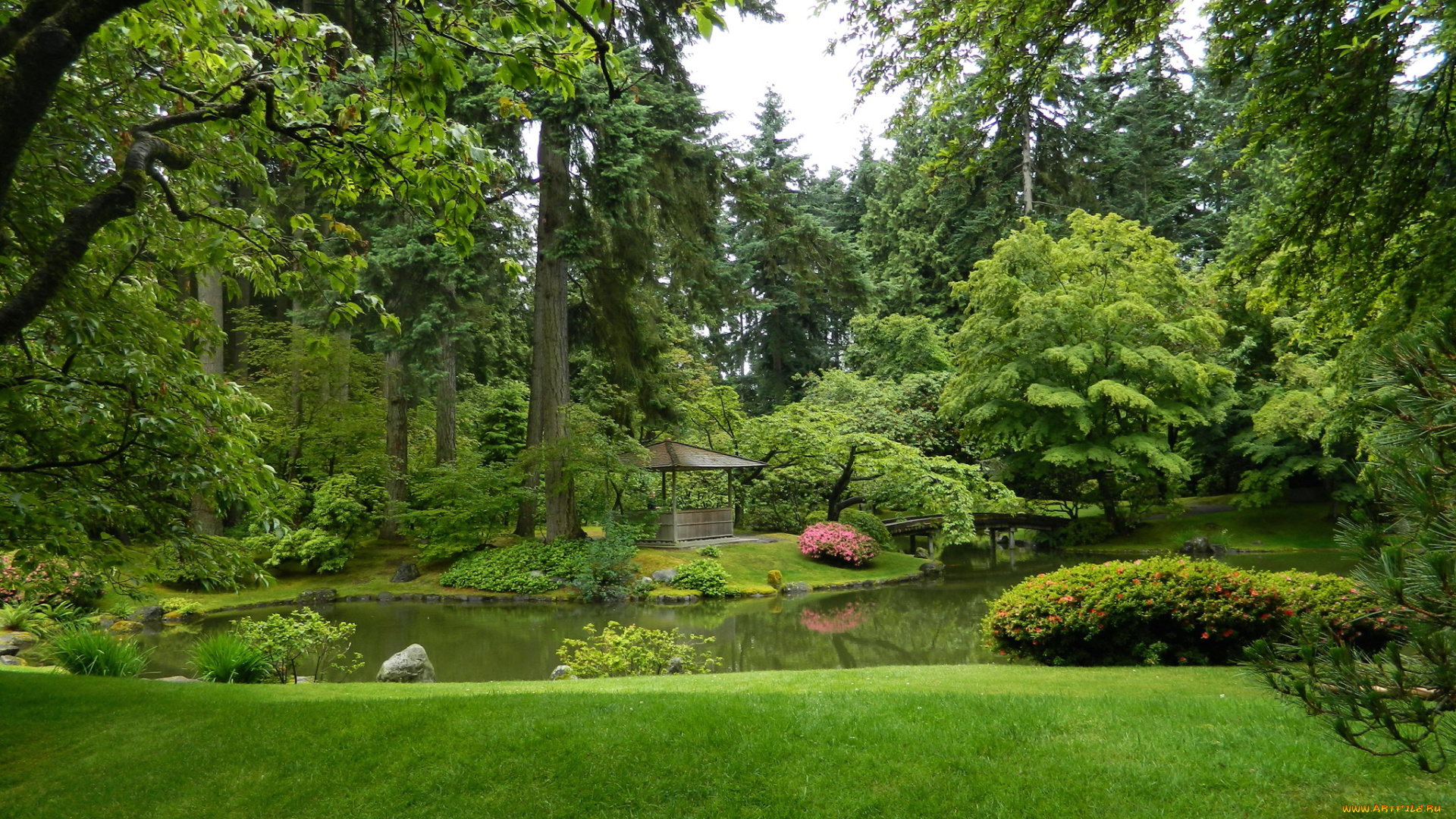 nitobe, garden, ванкувер, канада, природа, парк, сад, канада, ванкувер, garden, nitobe, трава, кусты, деревья, пруд