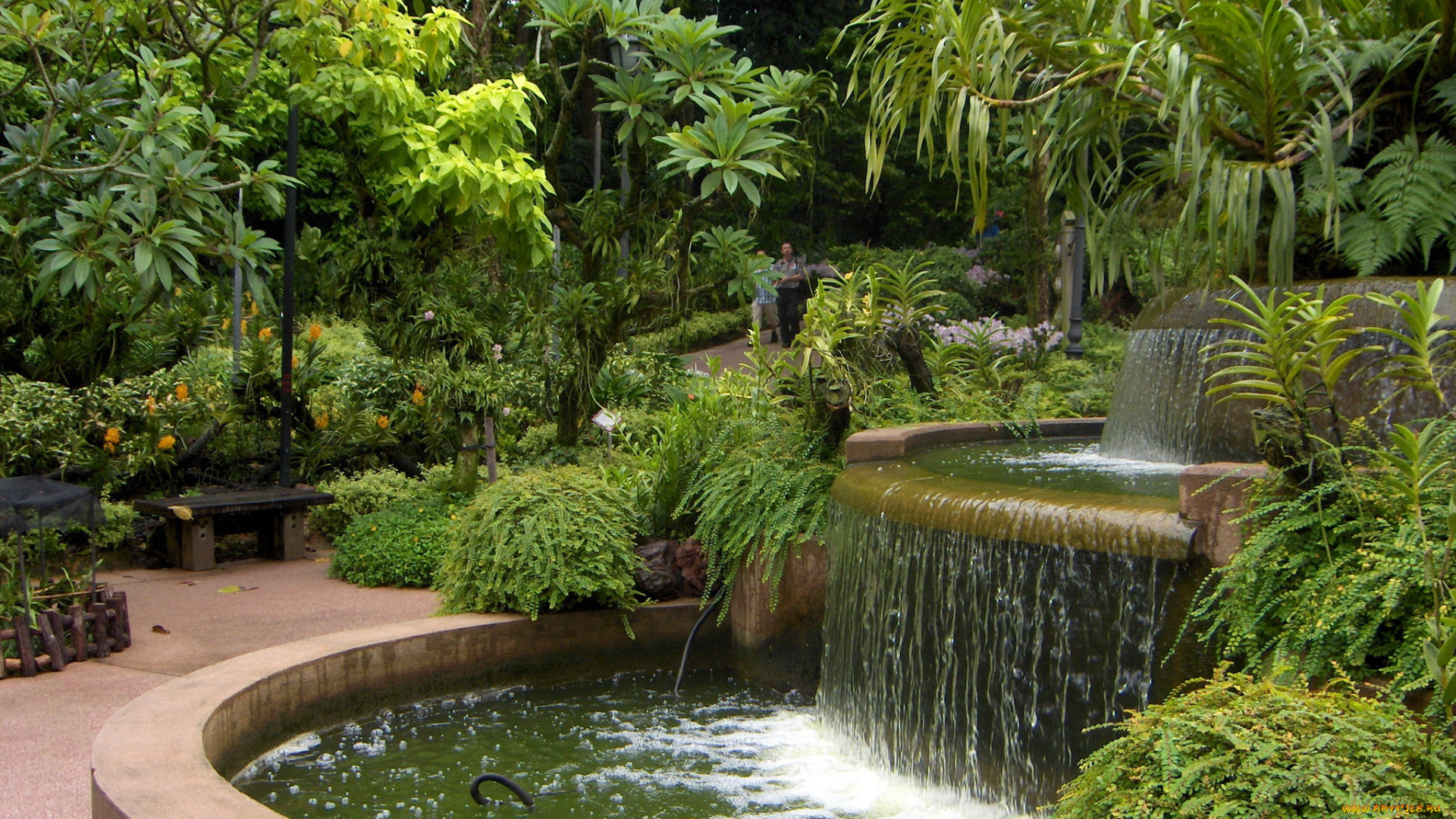 парк, орхидей, в, сингапуре, природа, парк, кусты, деревья, фонтан
