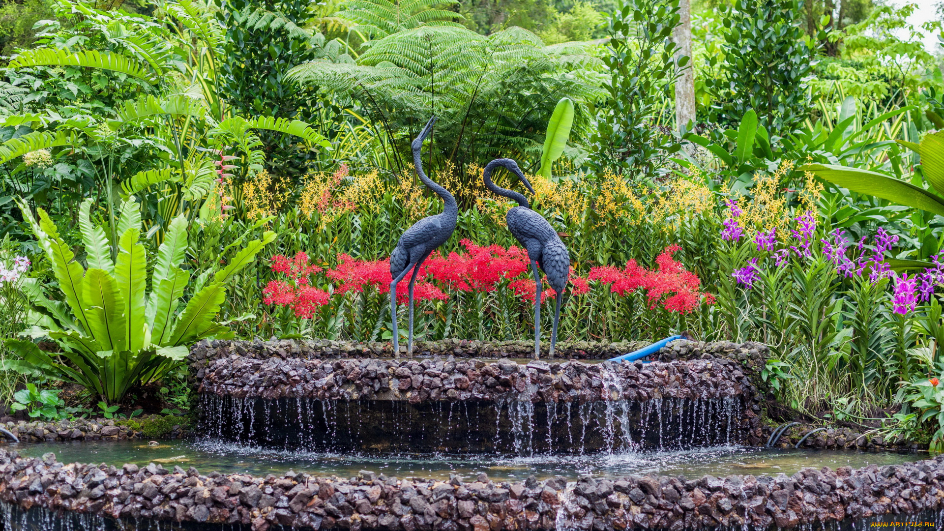 сад, орхидей, в, сингапуре, природа, парк, кусты, скульптуры, фонтан, орхидеи, сингапур, сад