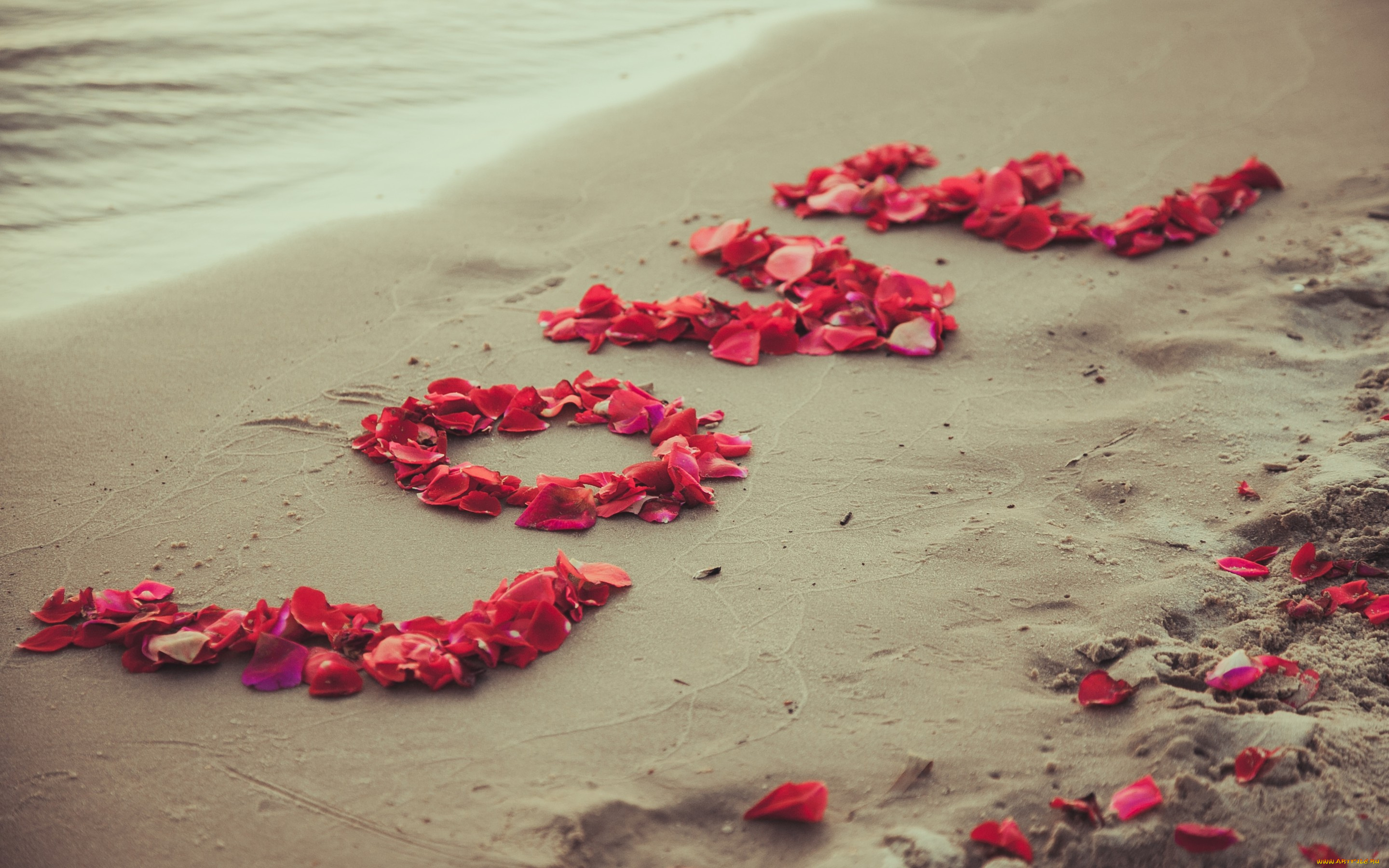 праздничные, день, святого, валентина, , сердечки, , любовь, романтика, песок, лепестки, пляж, любовь, sea, beach, sand, petals, sweet, love, romantic
