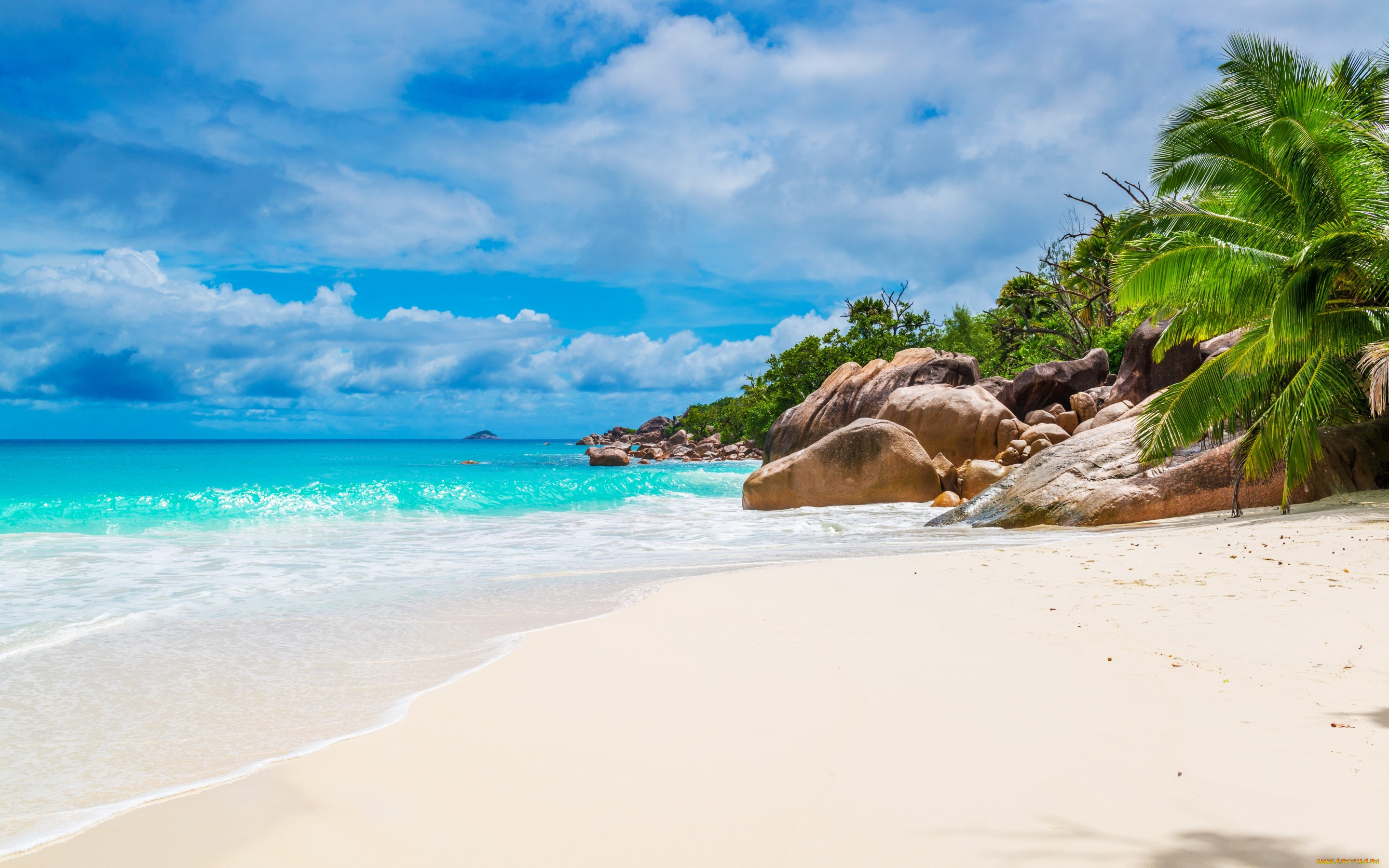 природа, тропики, summer, shore, sea, beach, песок, берег, пляж, море, palms, sand, tropical, paradise