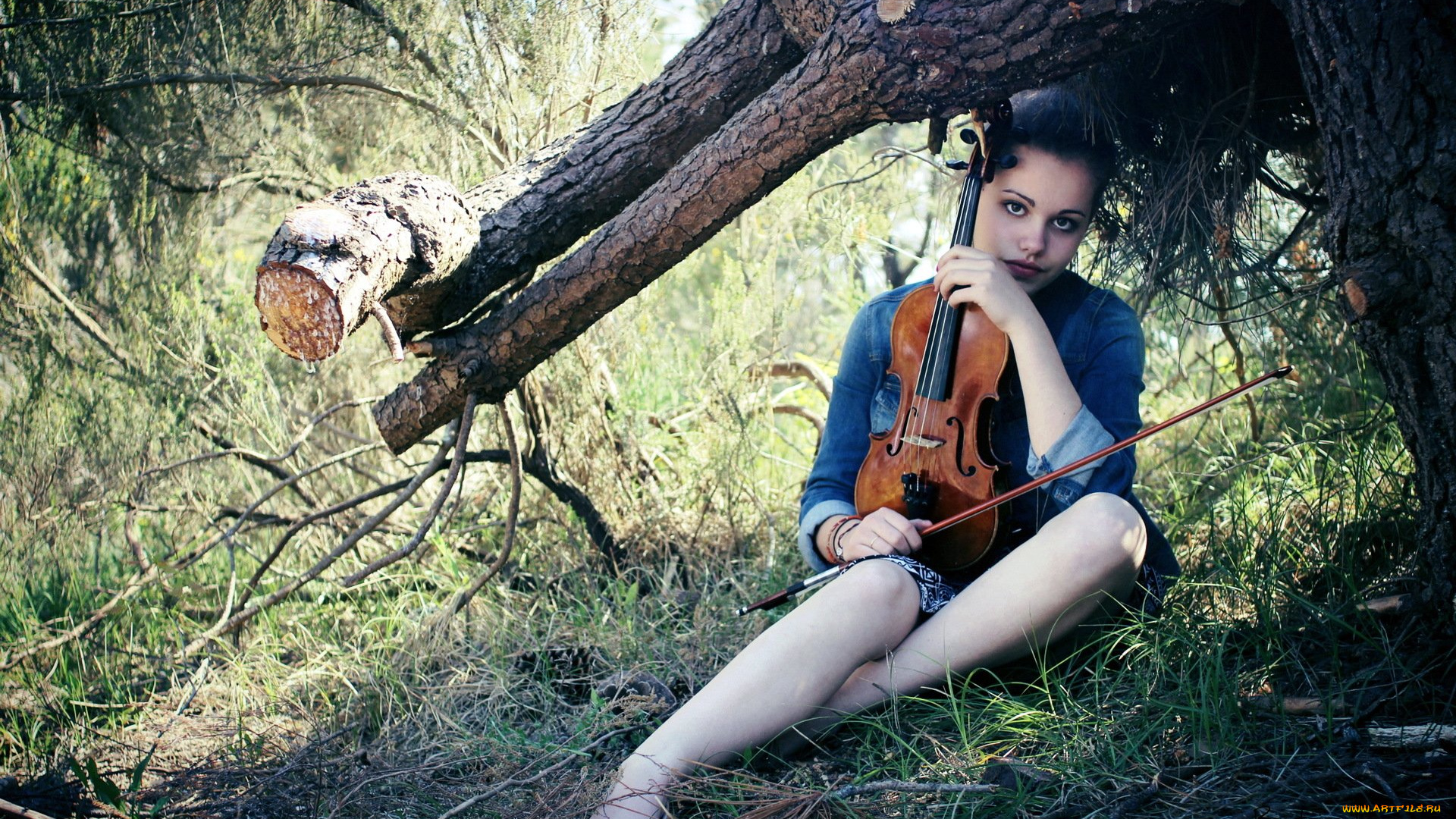 музыка, -другое, скрипка, девушка, взгляд