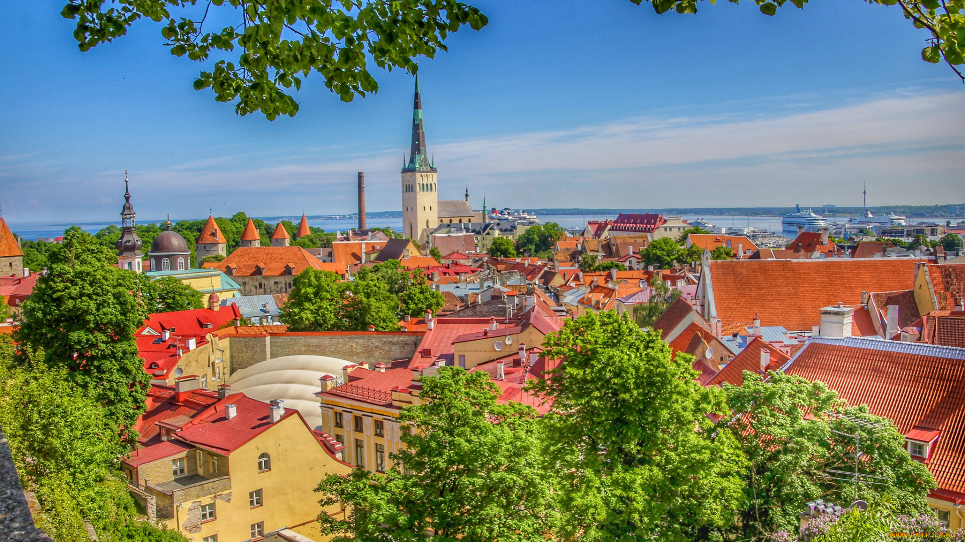 old, town, , tallinn, , estonia, города, таллин, , эстония, простор