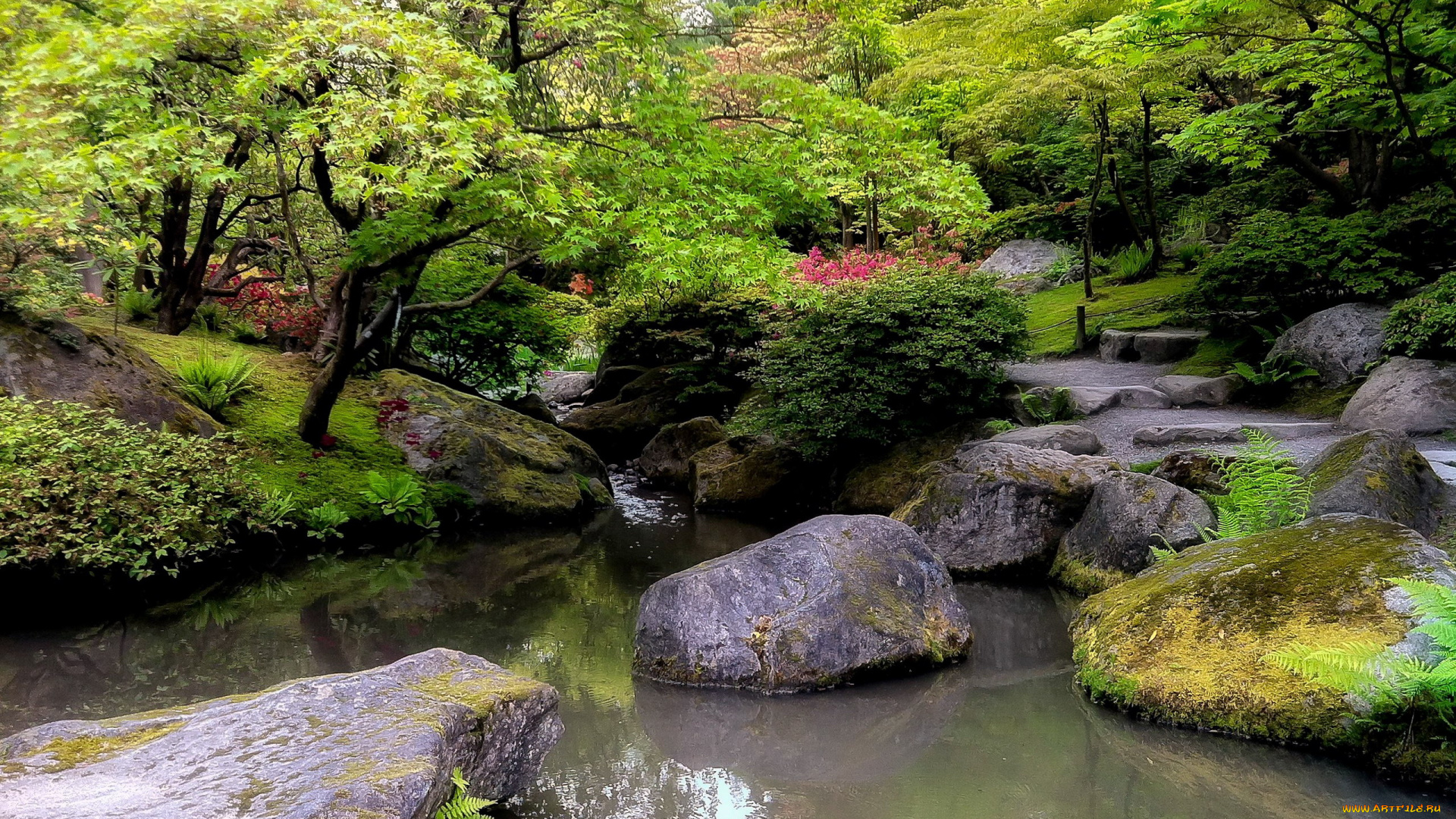 природа, парк, японский, садик, камни