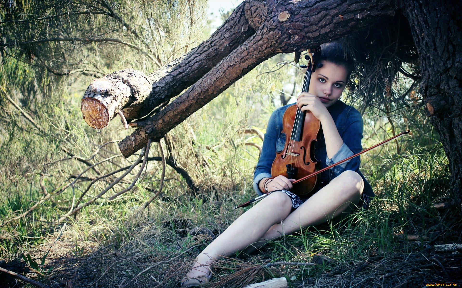 музыка, -другое, скрипка, девушка, взгляд