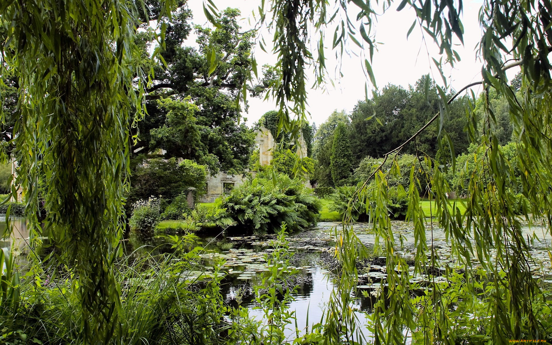 природа, парк, пруд