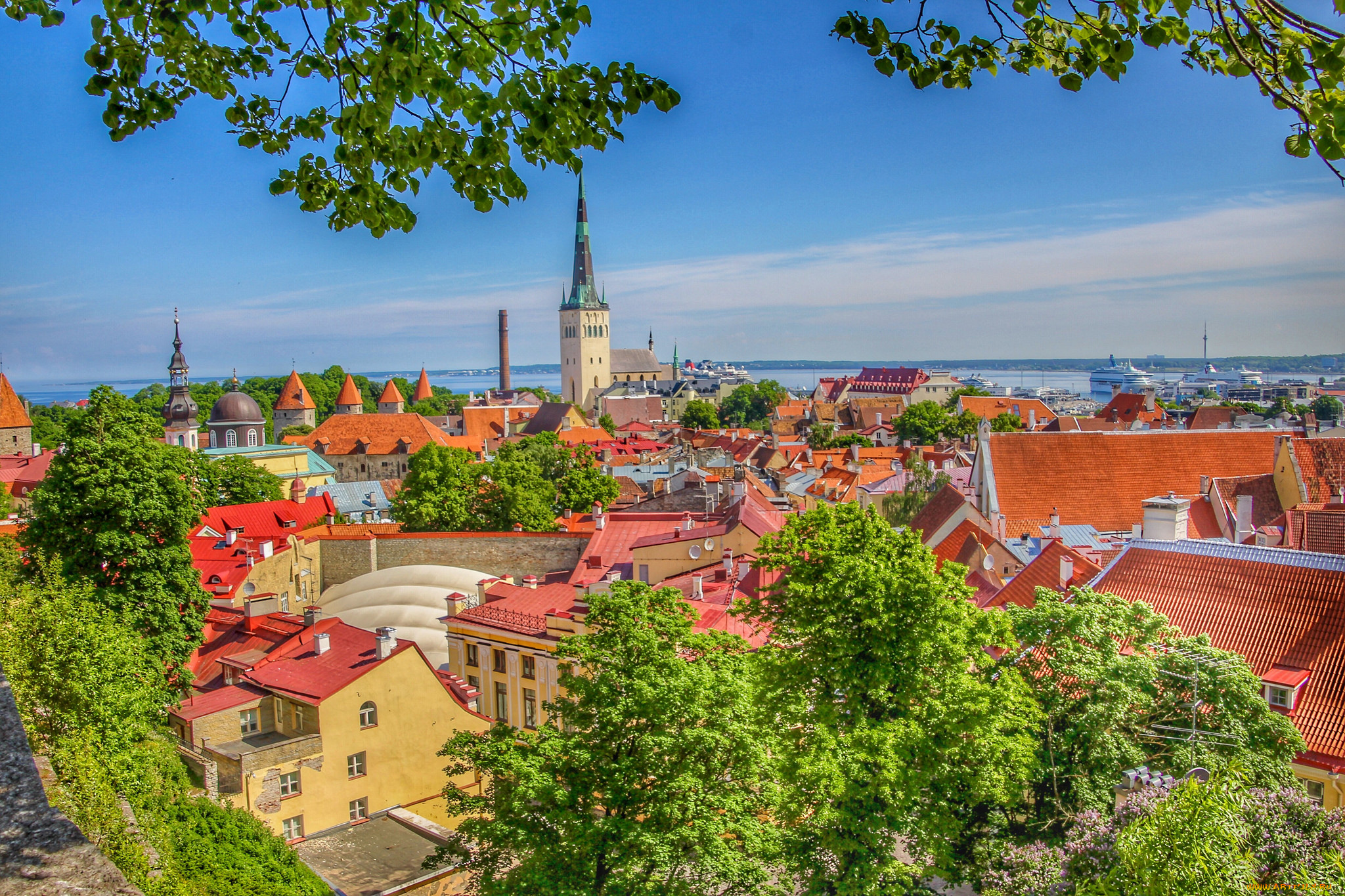 old, town, , tallinn, , estonia, города, таллин, , эстония, простор