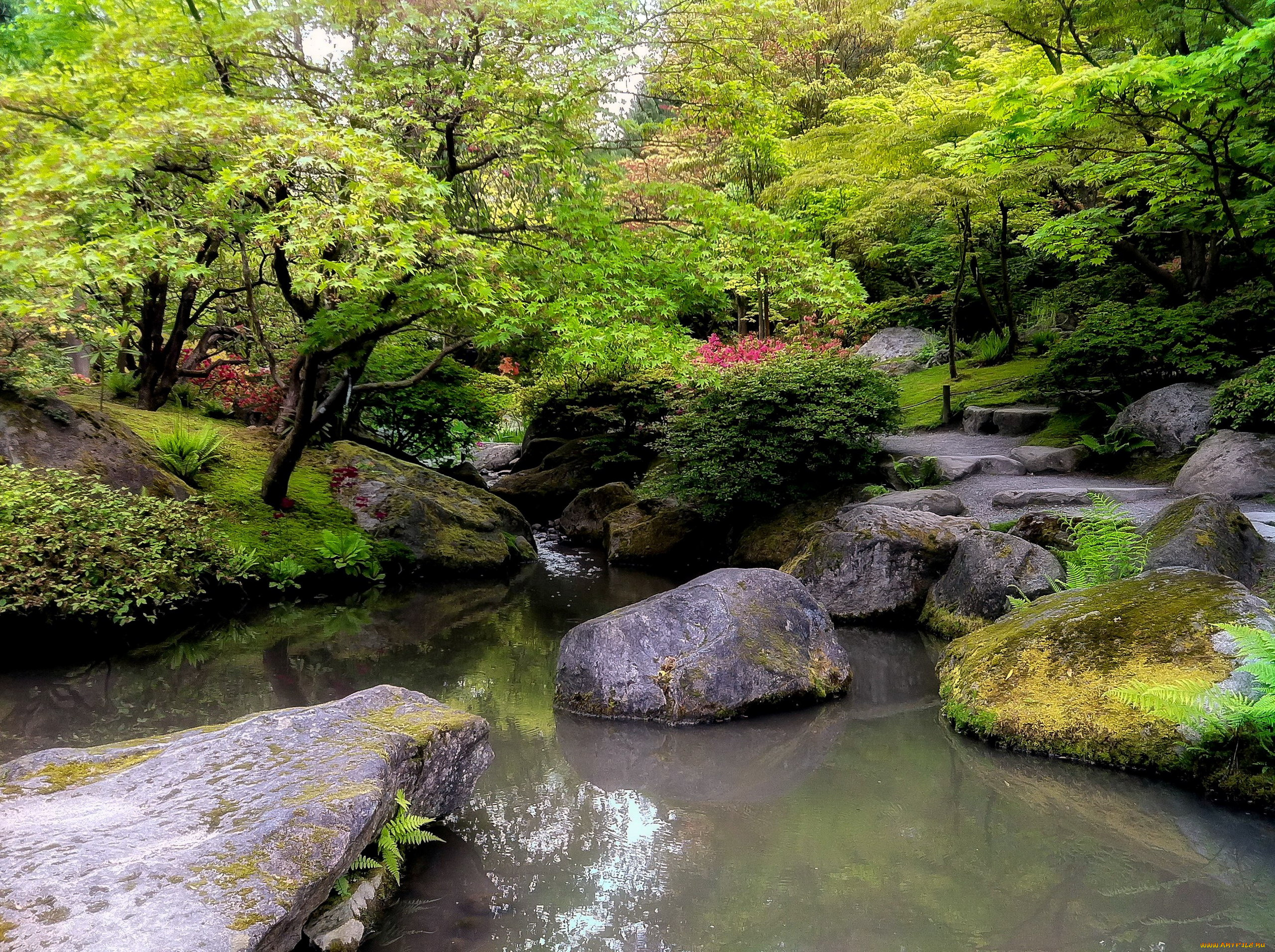природа, парк, японский, садик, камни