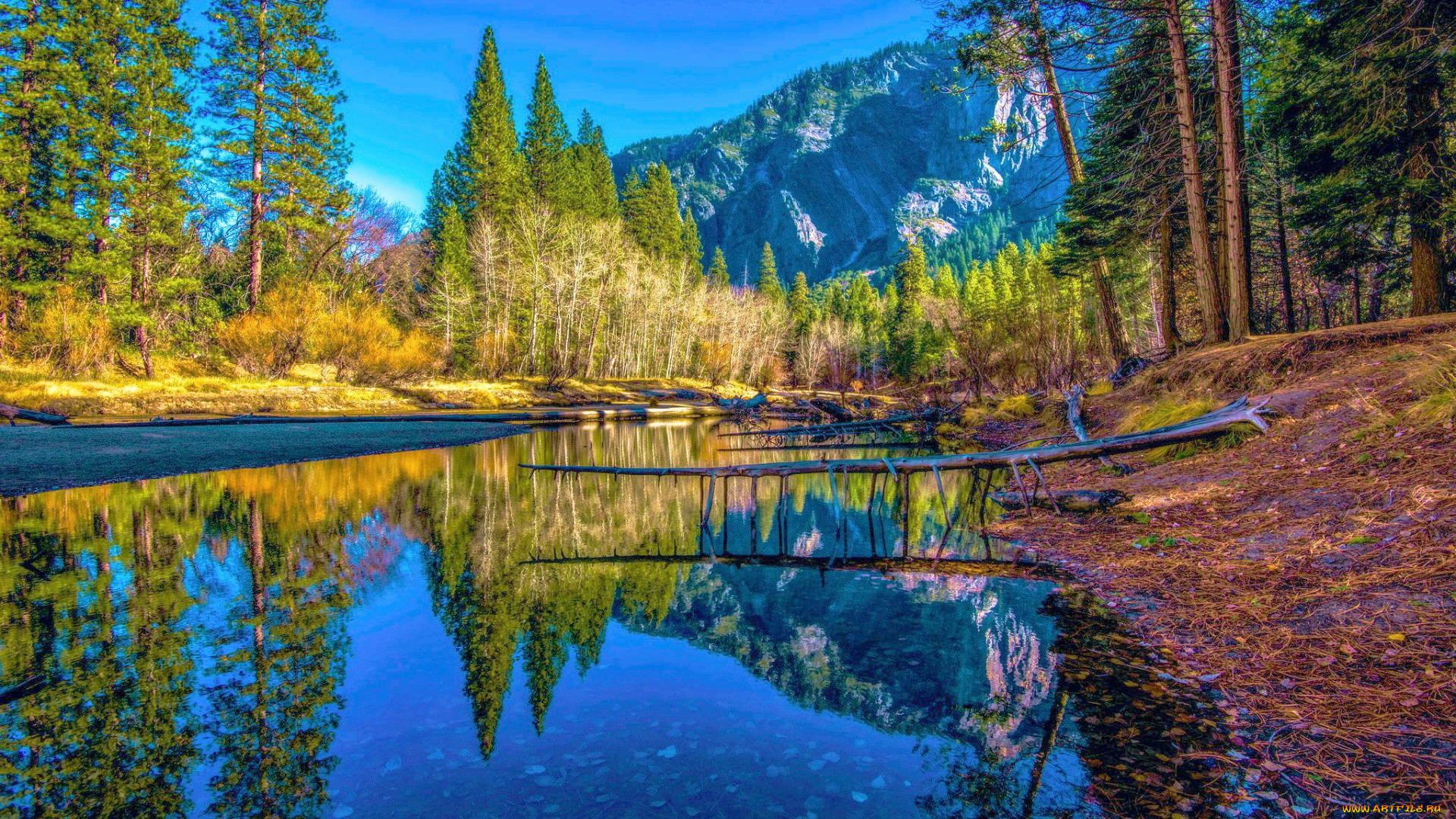 merced, river, yosemite, np, california, природа, реки, озера, merced, river, yosemite, np