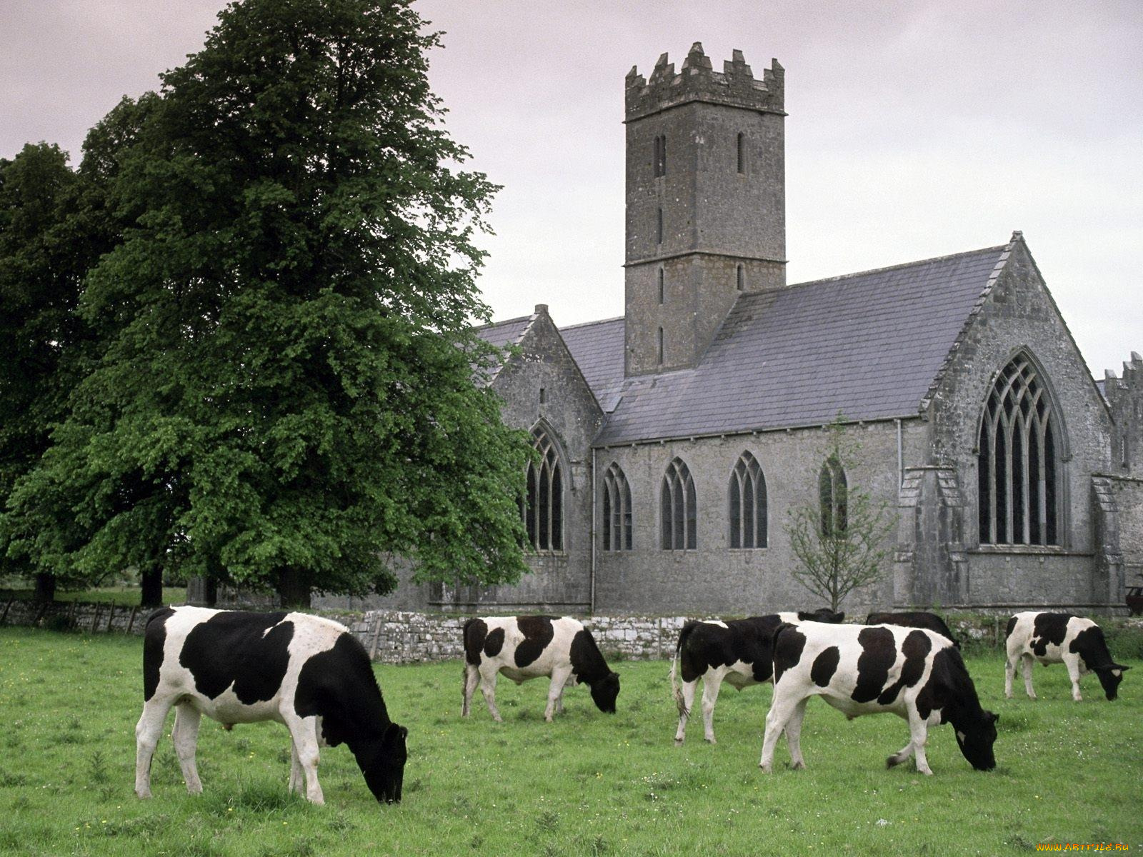 Adare Manor, County Limerick, Ireland загрузить