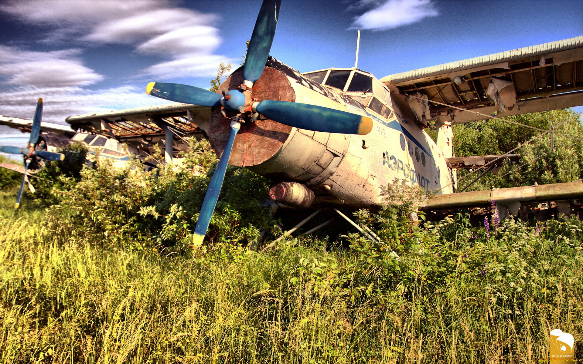 Old plane