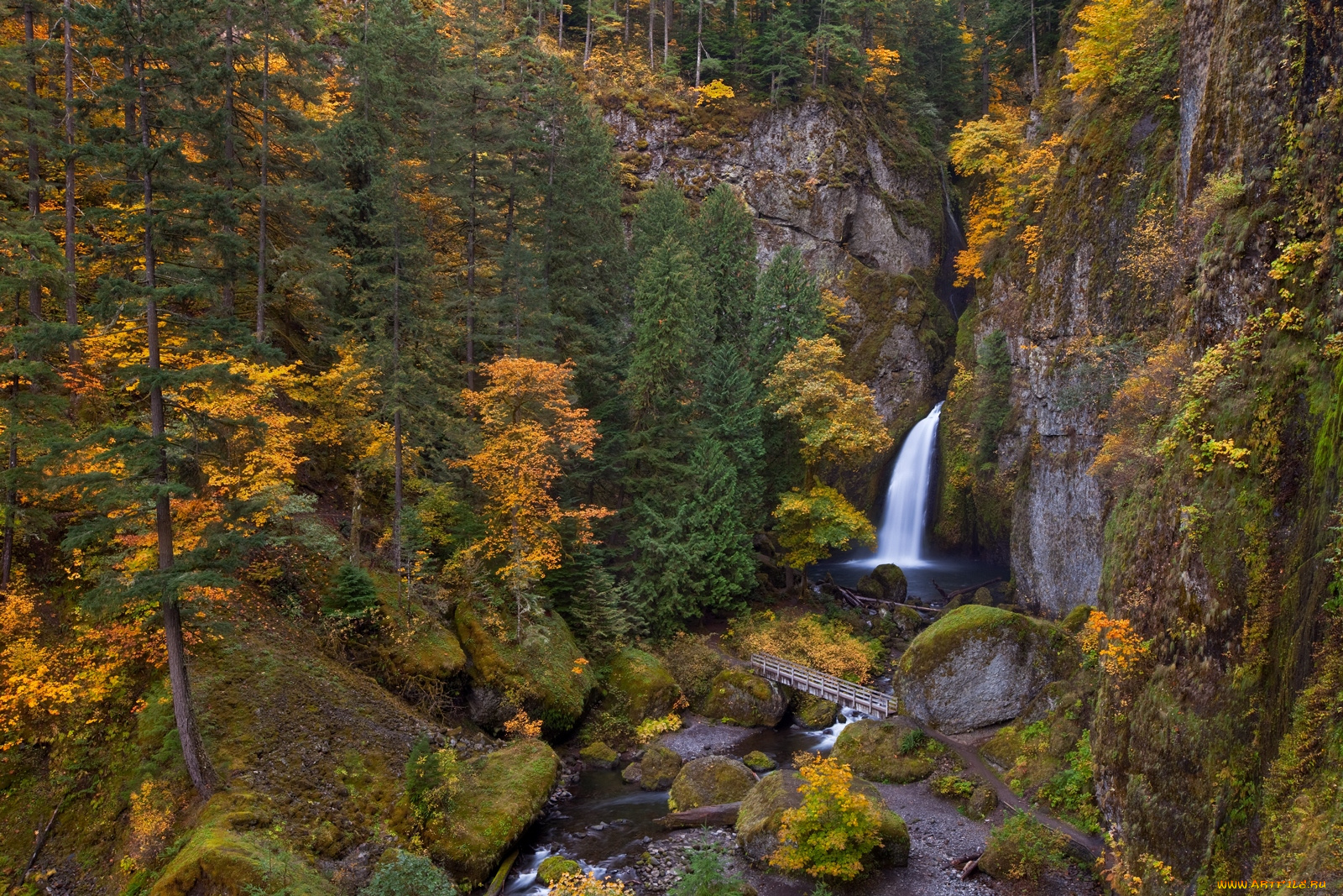 природа, водопады, лес, осень, вода, поток, горы