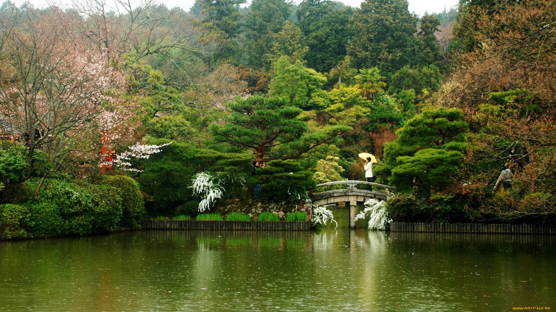 природа, парк, Япония, пруд, мостик, деревья, цветы