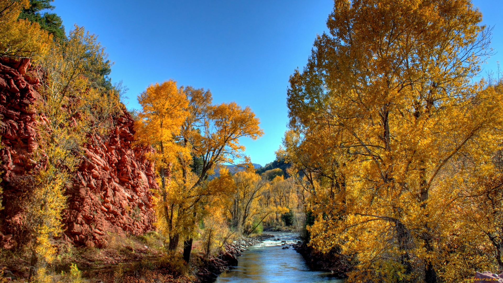 природа, реки, озера, осень, листья, желтые, деревья, река