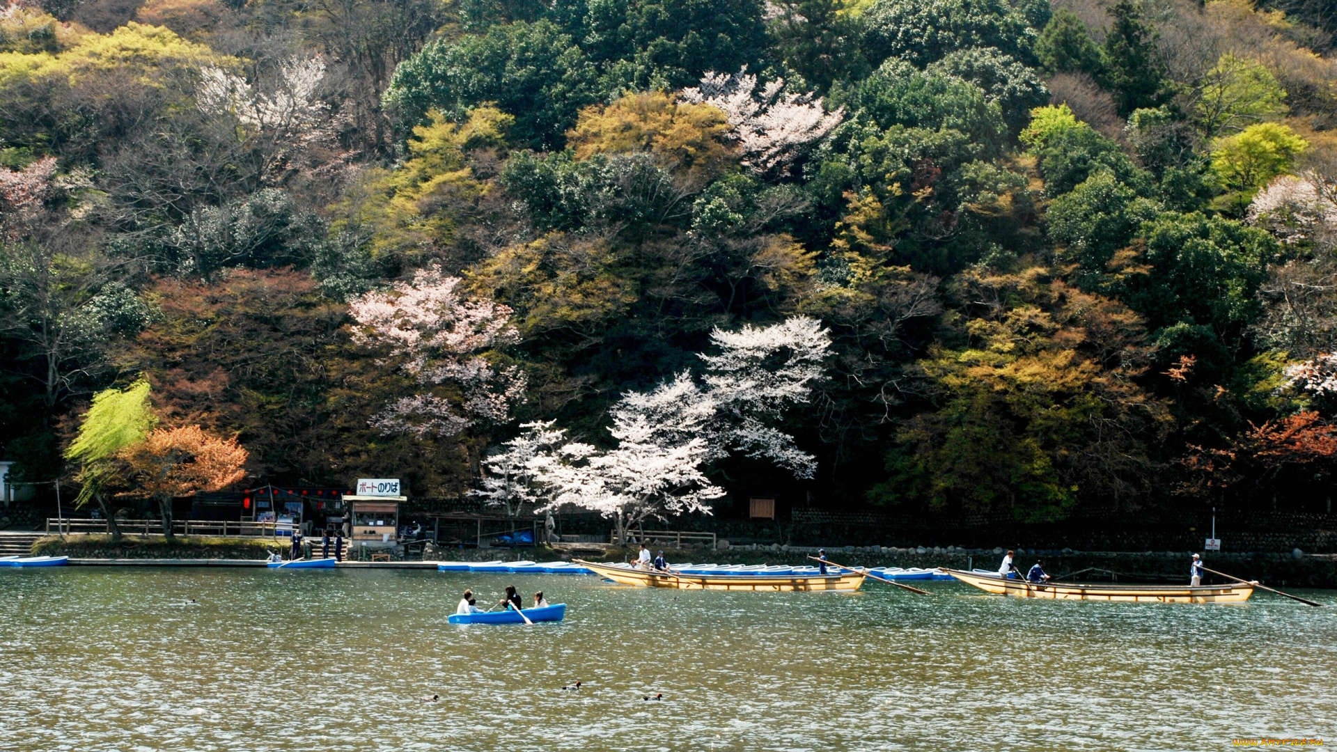 природа, реки, озера, склон, озеро, Япония, лес, лодки, отдых