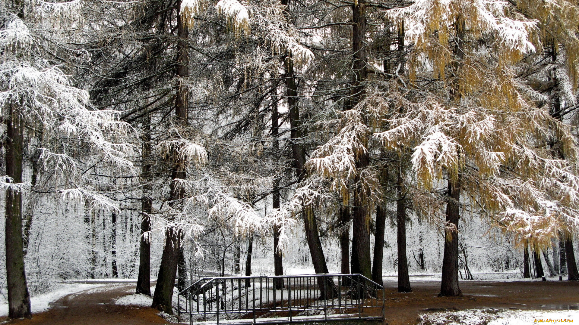 природа, зима, парк, мост, деревья, снег