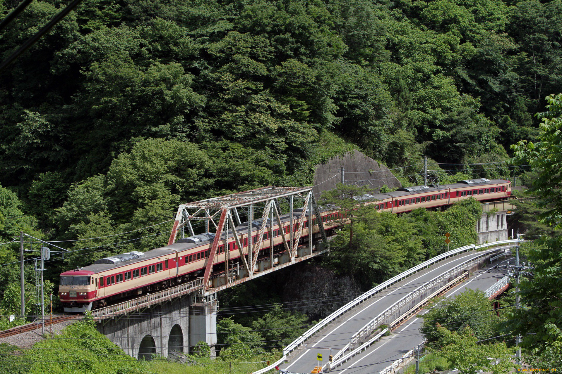 техника, поезда, мост, лес, дорога, поезд