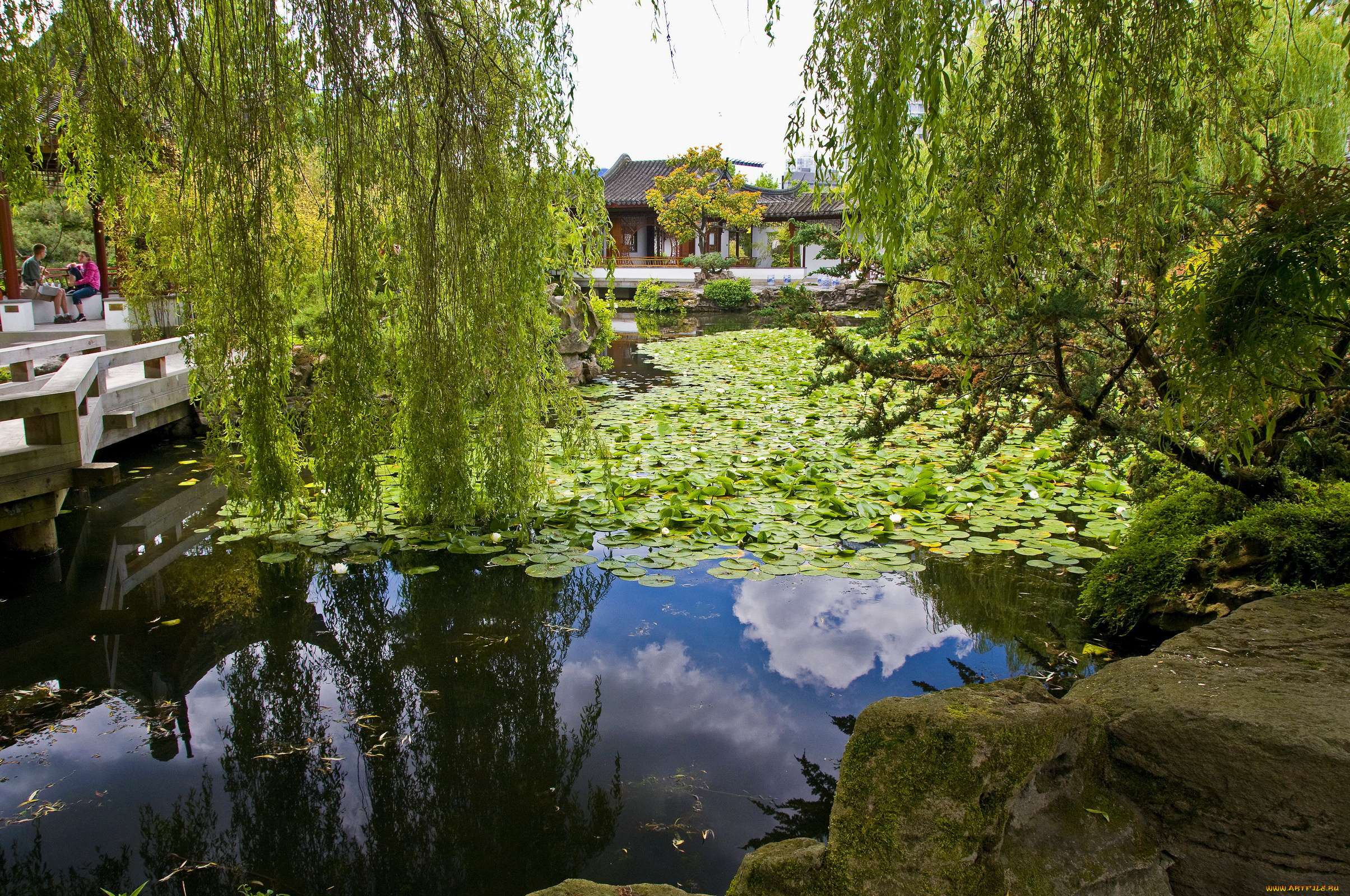 sun, yat, sen, park, vancouver, chinatown, канада, природа, парк, ивы, вода, yat-sen