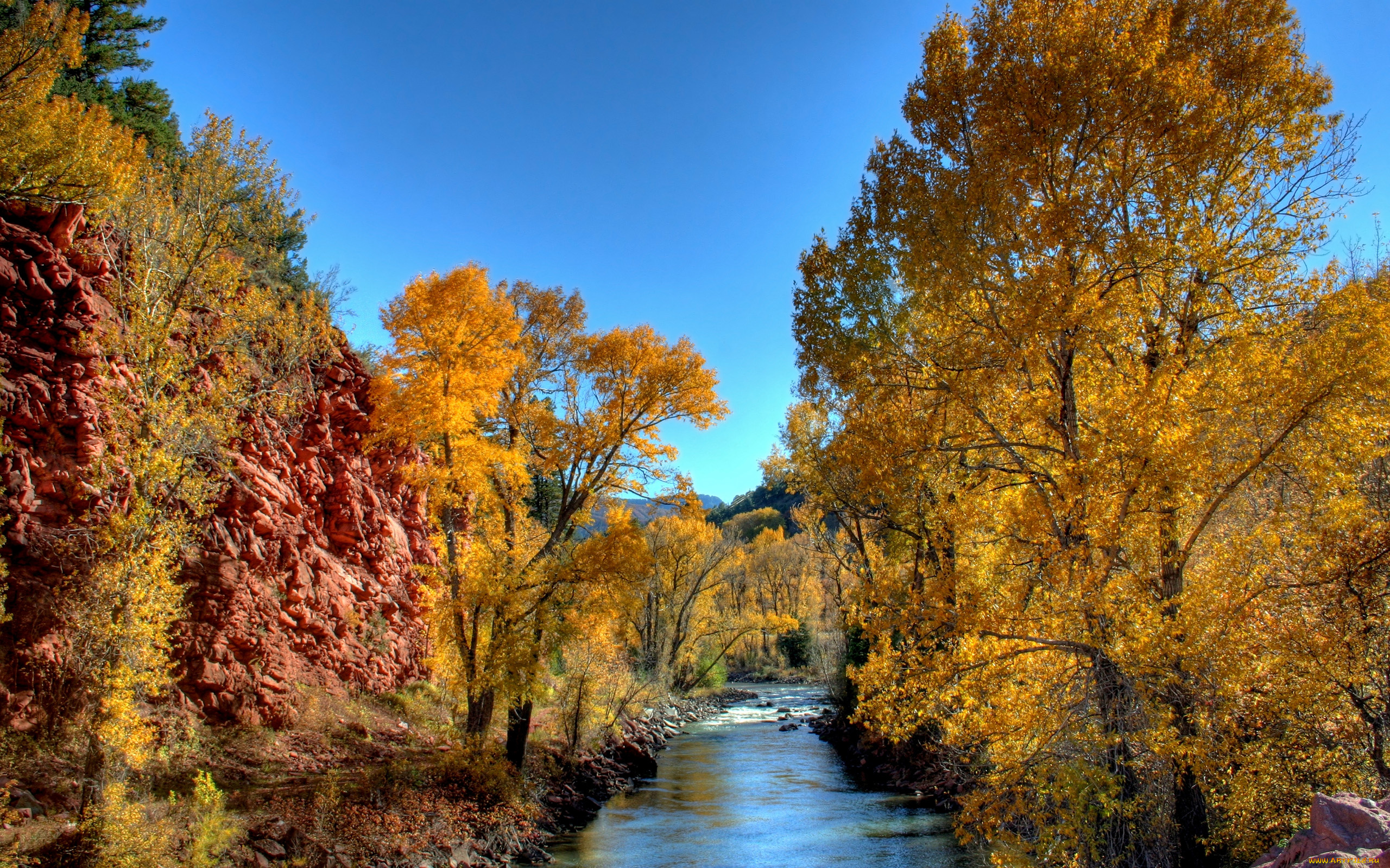 природа, реки, озера, осень, листья, желтые, деревья, река
