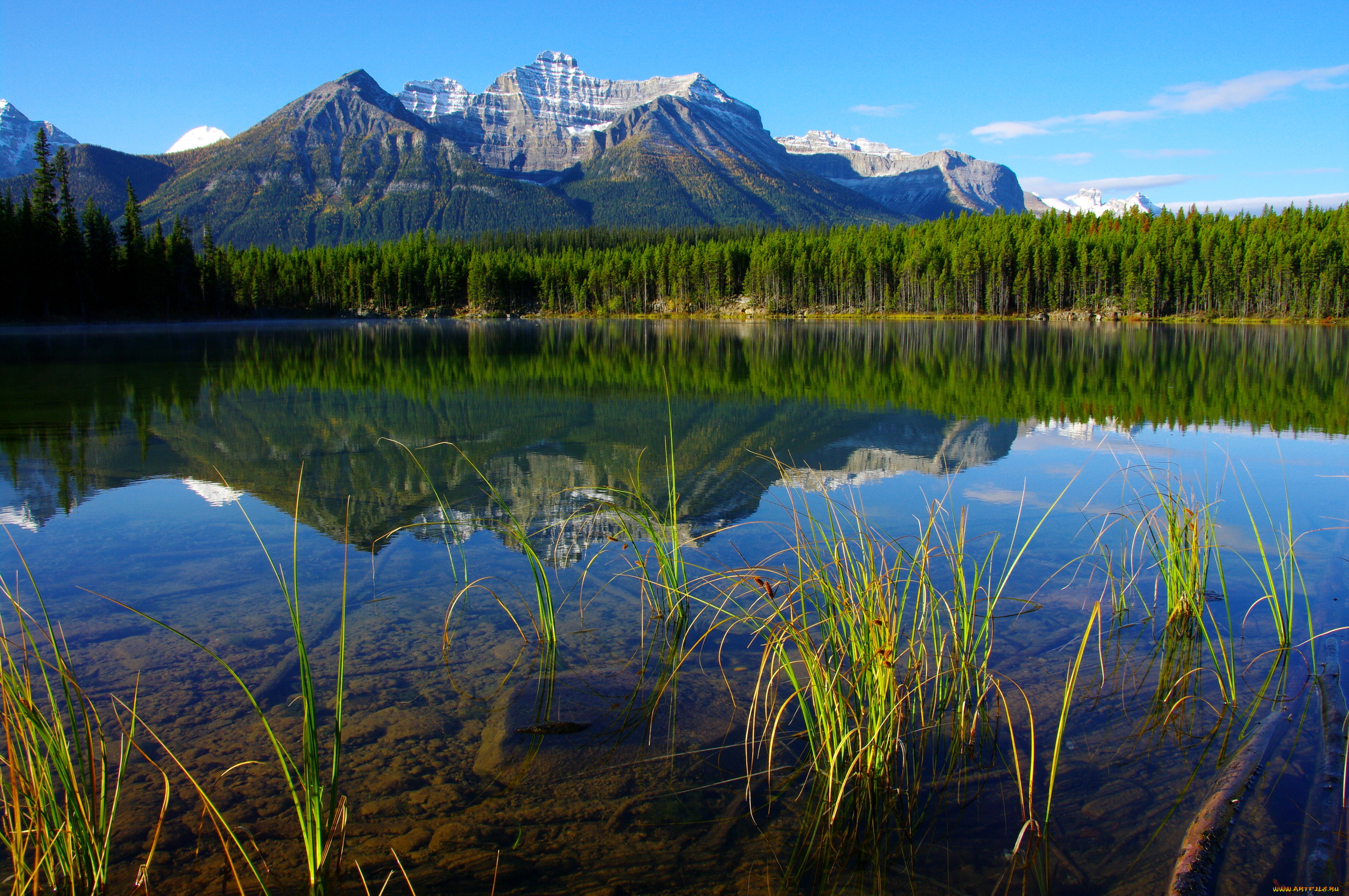 banff, national, park, природа, реки, озера, лес, горы, озеро