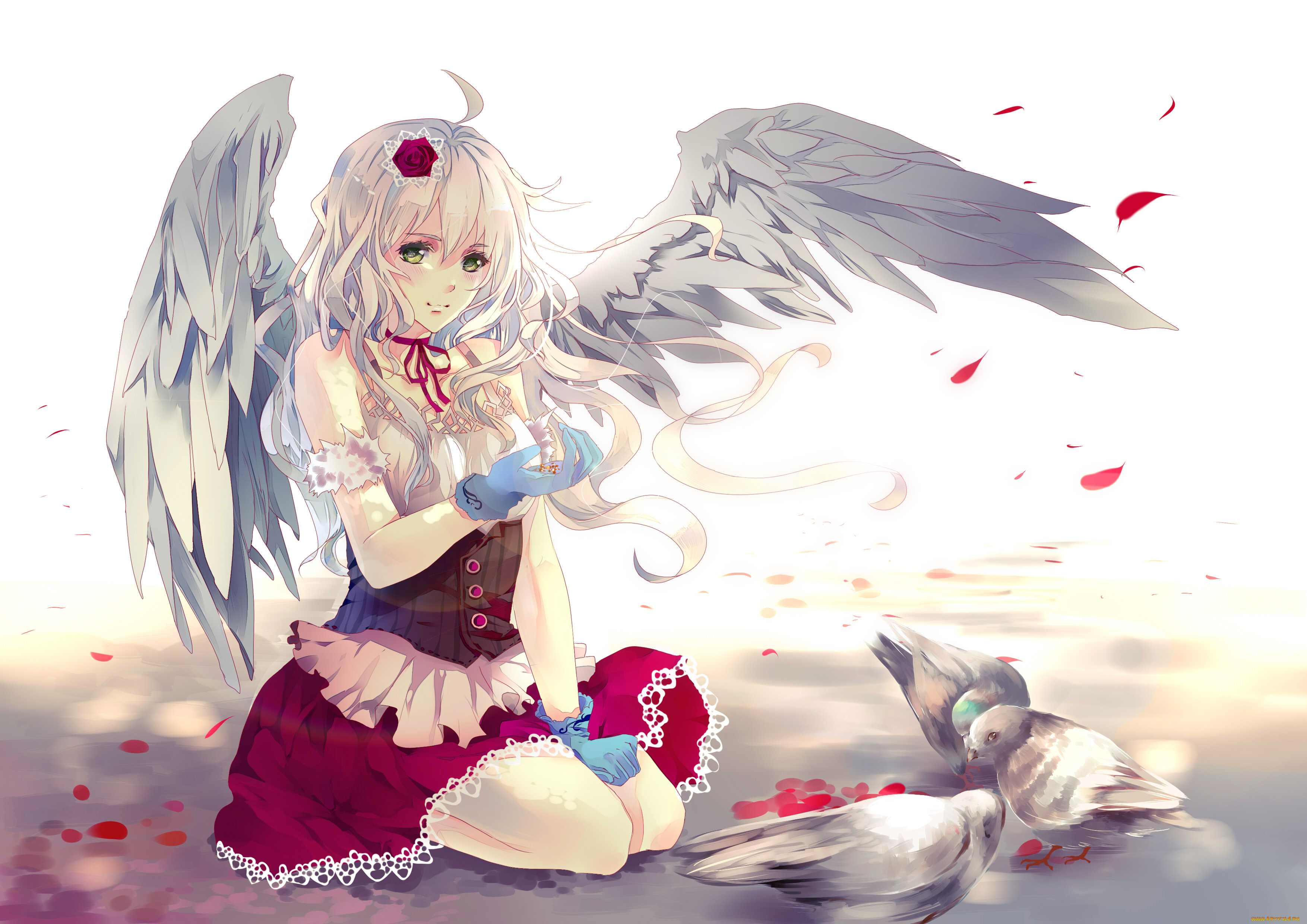 аниме, angels, demons, девушка, крылья, птицы, голуби, лепестки, роза