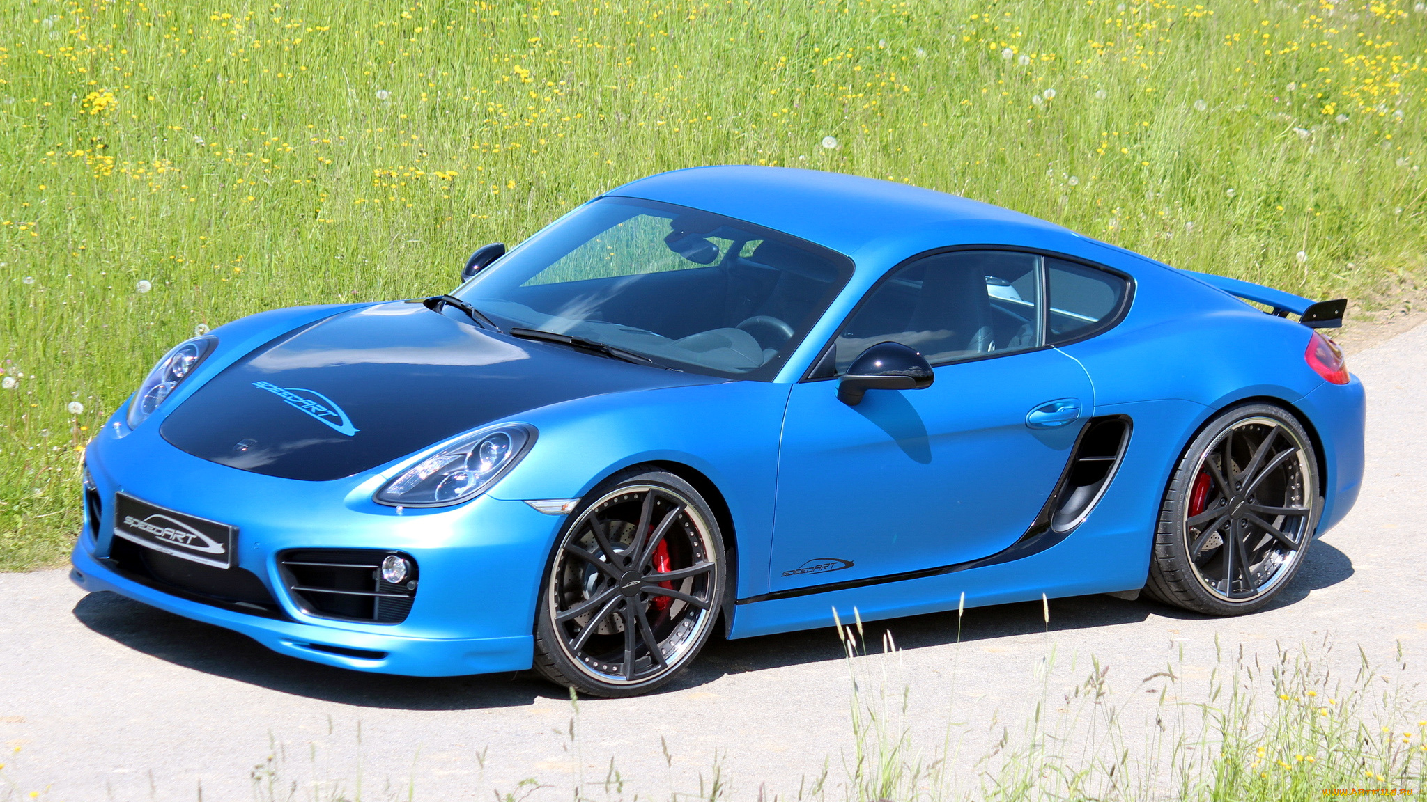 porsche, cayman, автомобили, спортивные, германия, элитные