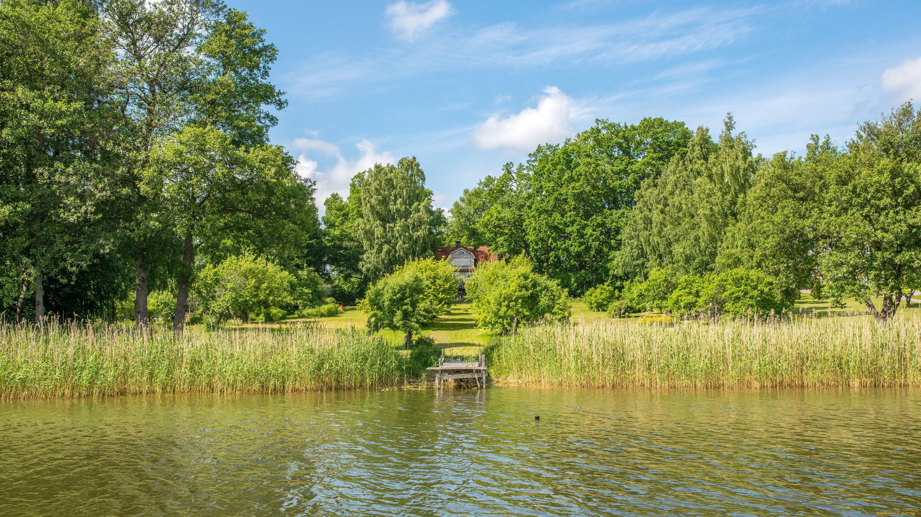 швеция, vaxholm, природа, реки, озера, река, берег, трава