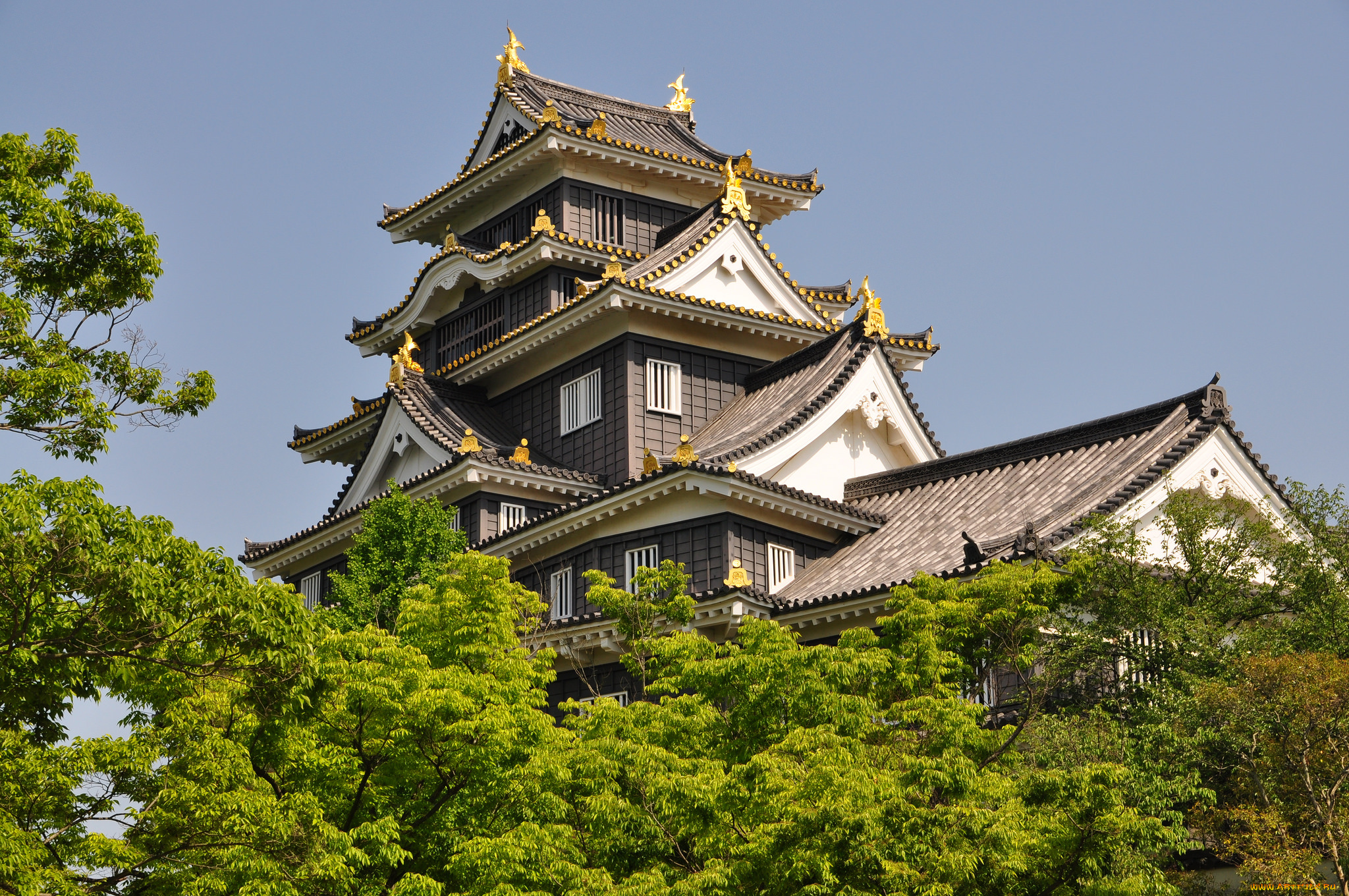okayama, castle, города, замки, Японии, пагода