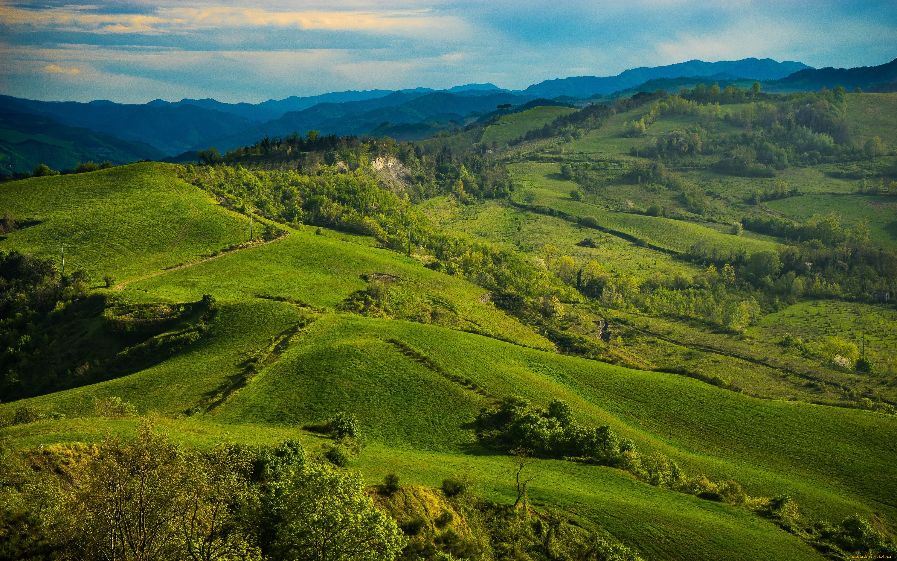 природа, пейзажи, италия, тоскана, tuscany, поля, луга, холмы, деревья, зелень, трава